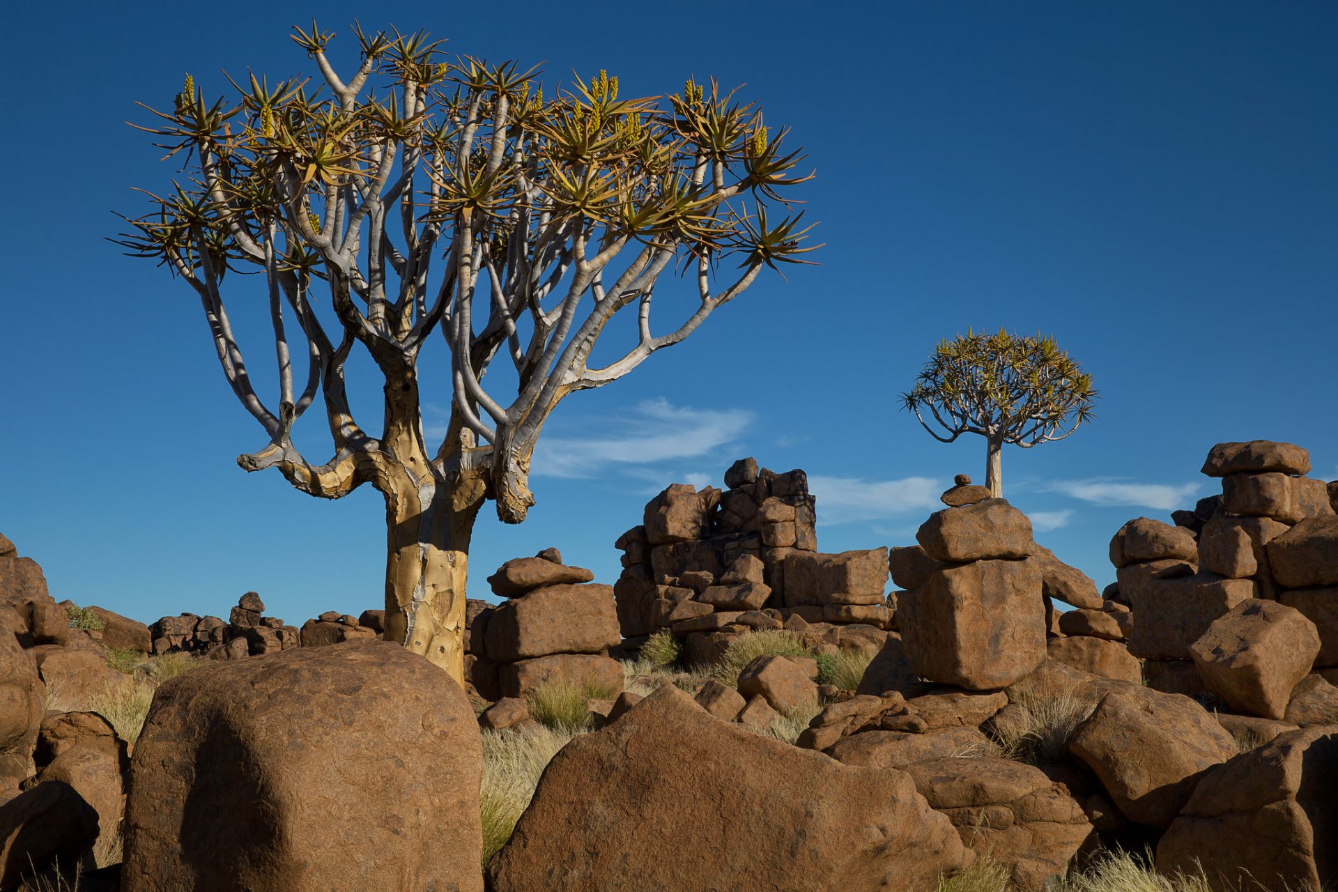 namibia africa sky tree stones landscape