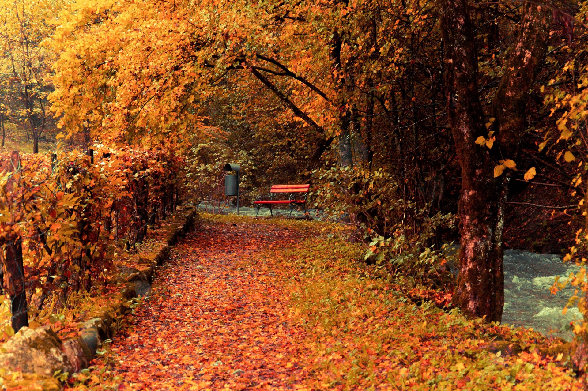 jesień park drzewa liście żółte ścieżka ogrodzenie ławka ławeczka potok