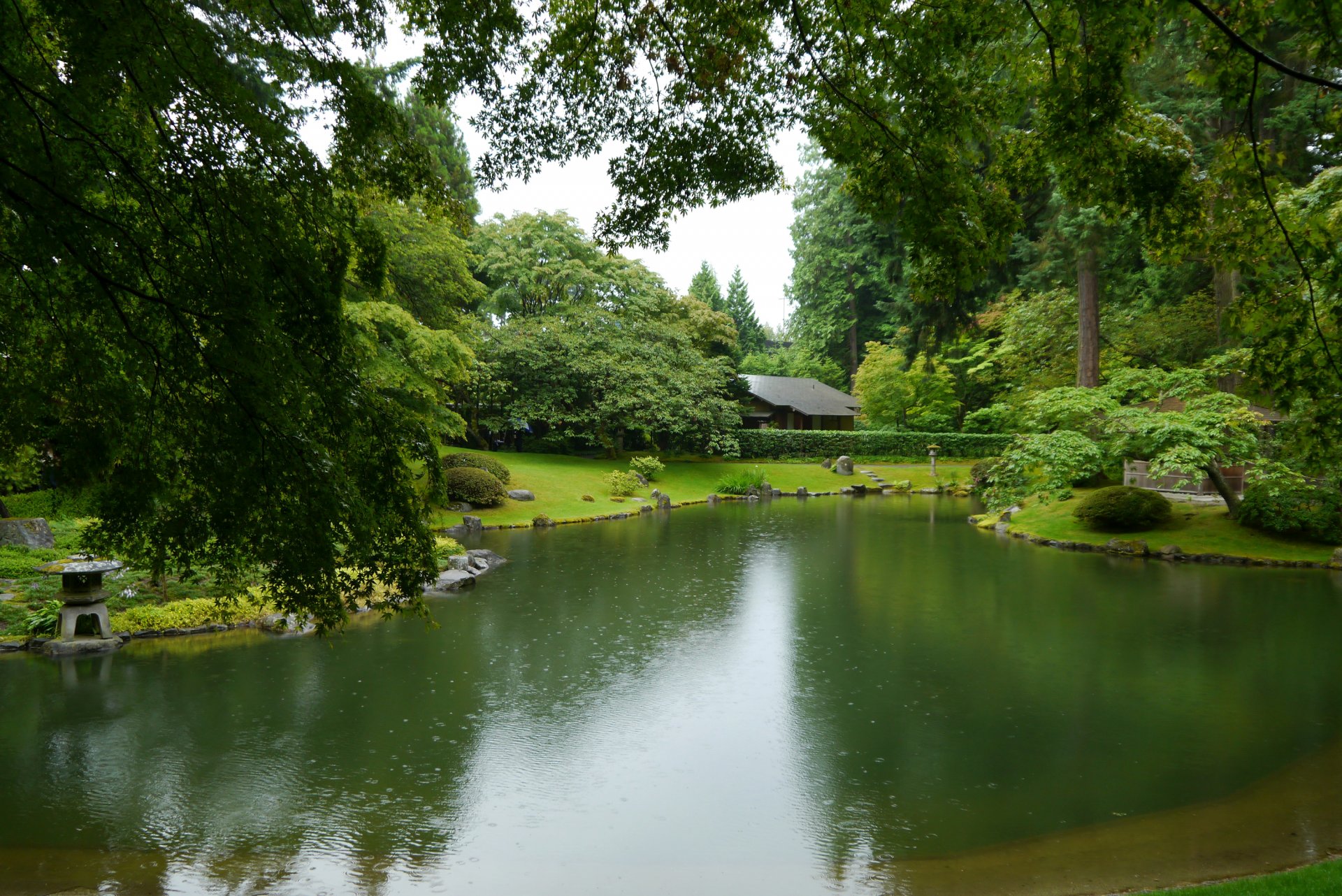 nitobe giardino vancouver canada giardino stagno pietre erba cespugli alberi verde