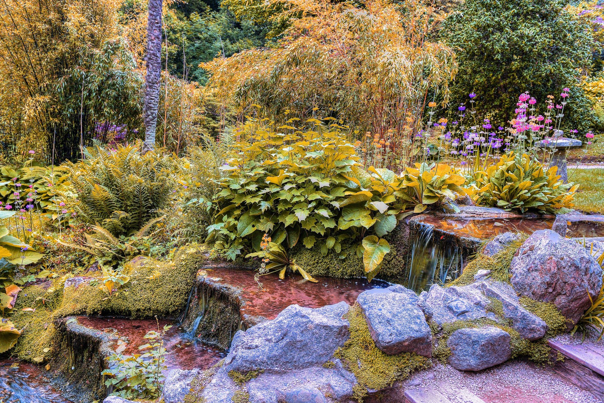 park bäume büsche blumen pflanzen steine wasser bach kaskade