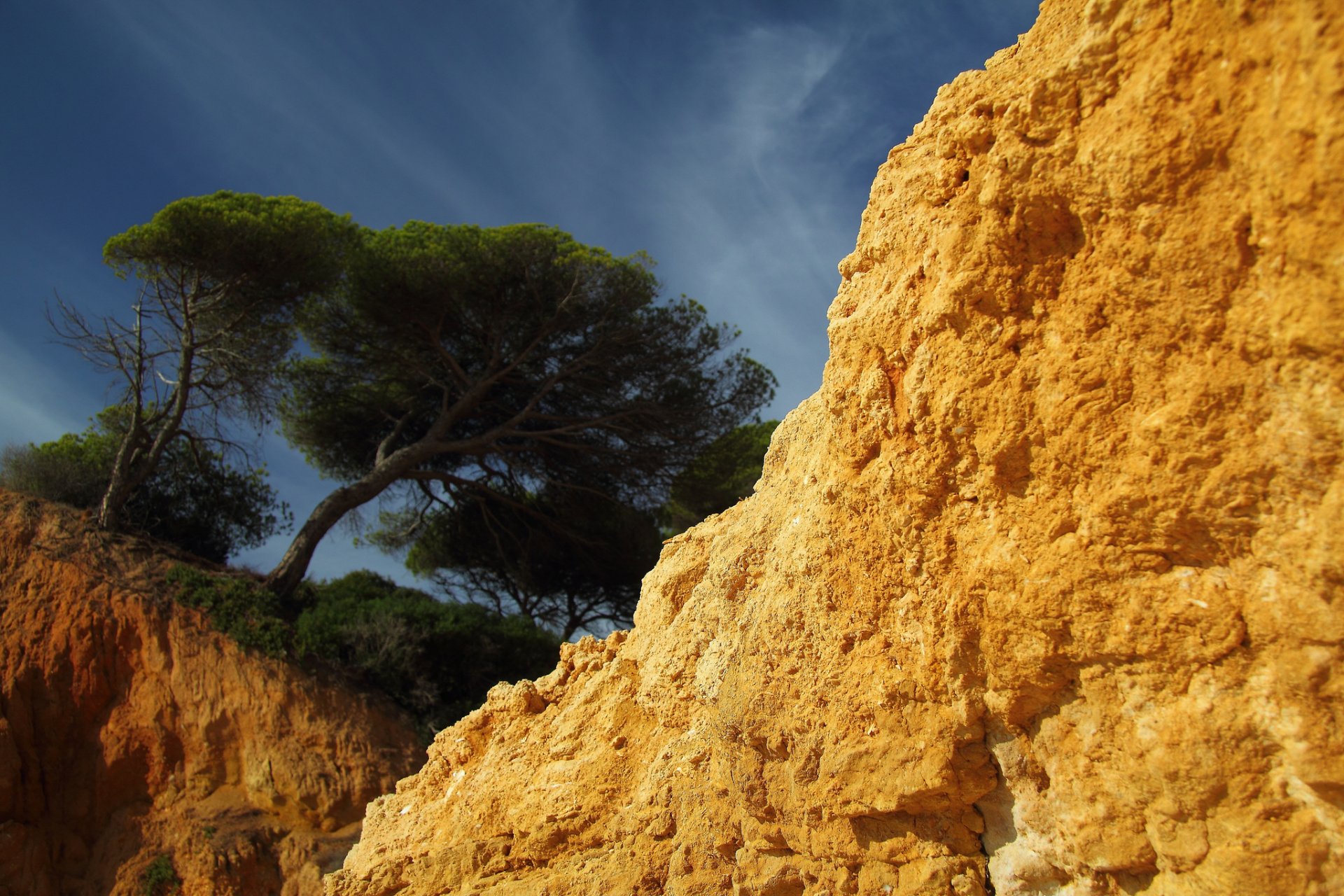 rock tree sandstone sky broken