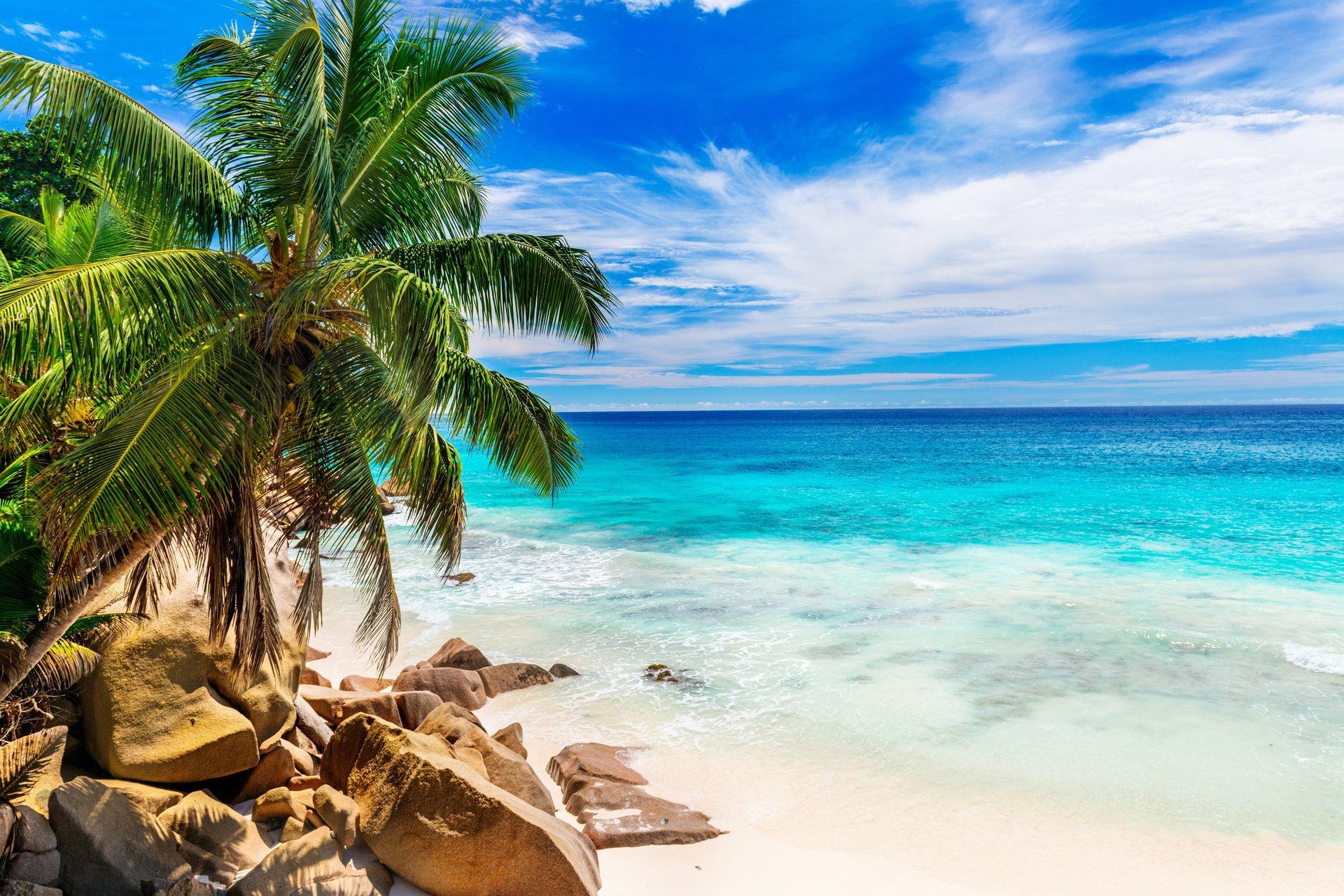 été plage mer côte paradis tropical sable palmiers