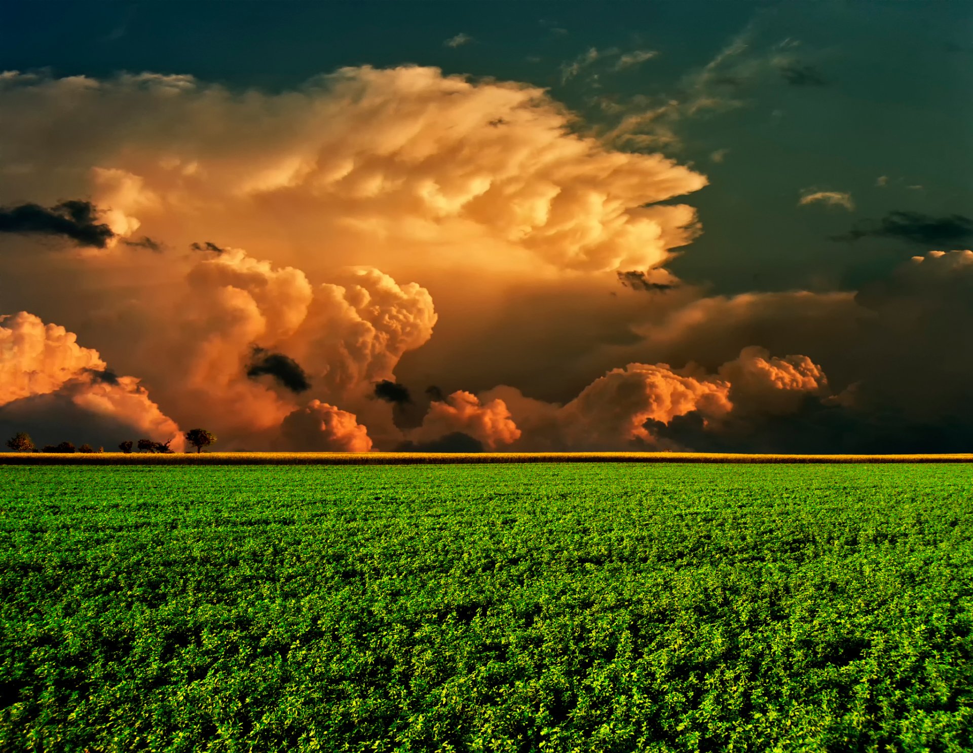 campo cielo nuvole orizzonte