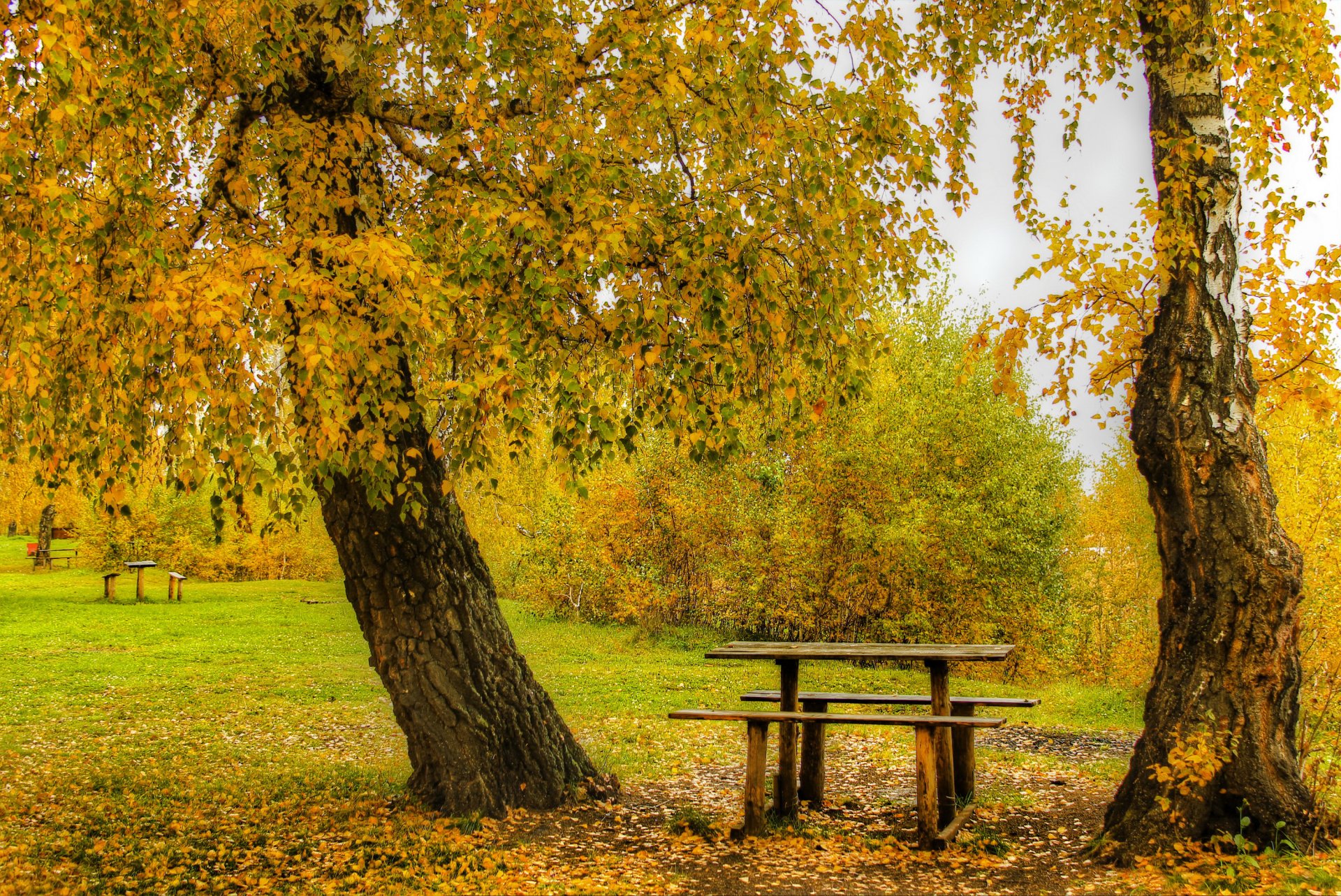 herbst park bäume büsche tisch bänke bänke blätter gelb