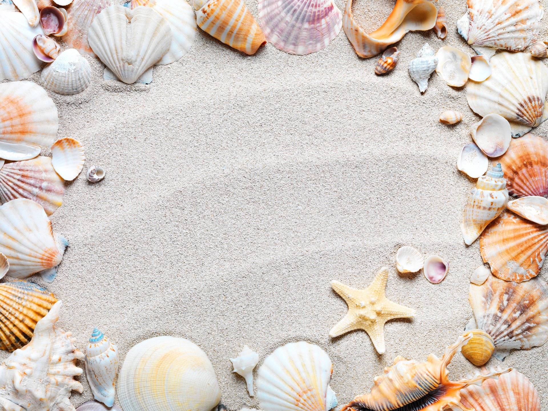 coquillages étoiles sable plage cadre