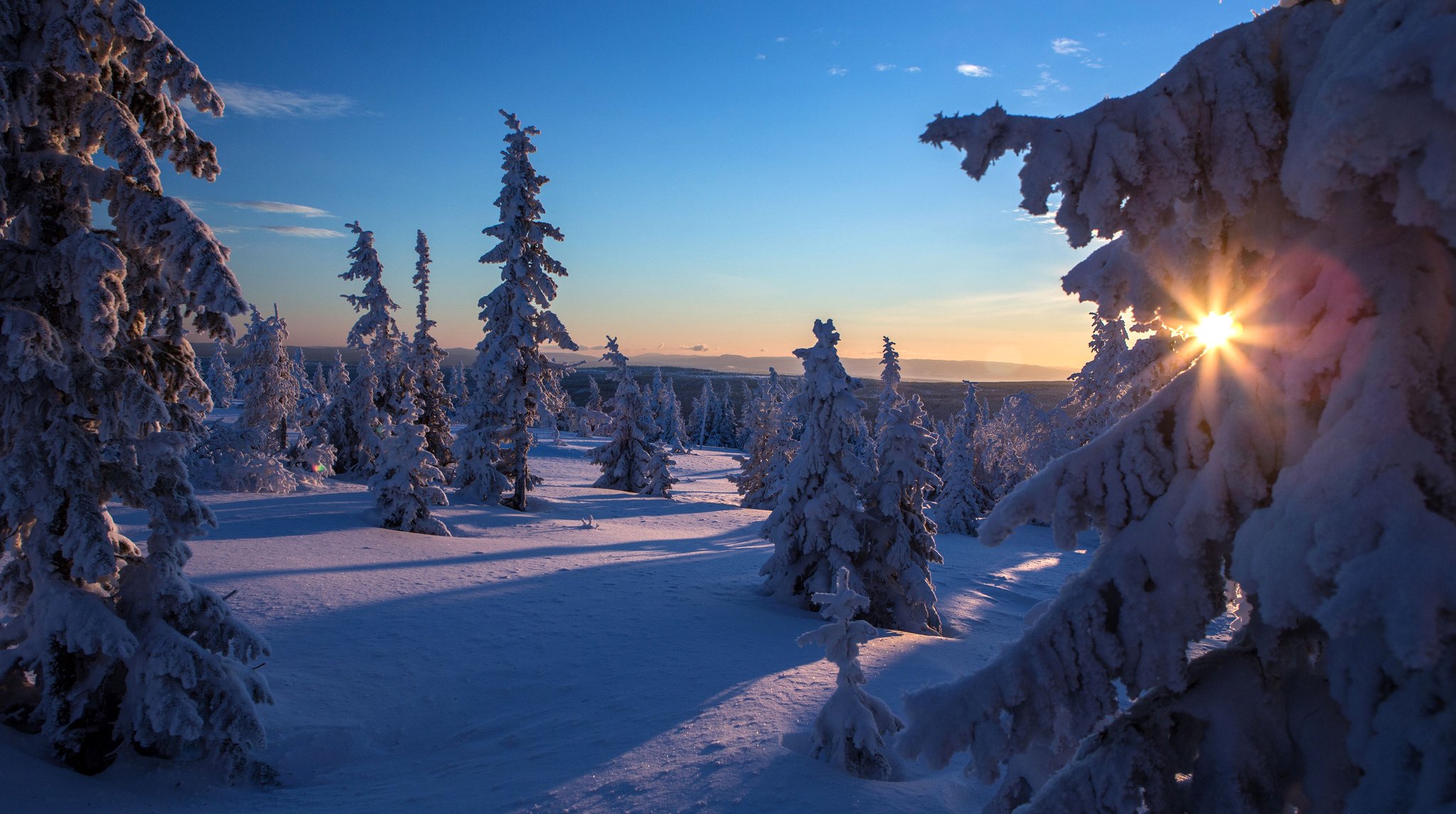 ciel arbres hiver neige sapin soleil rayons