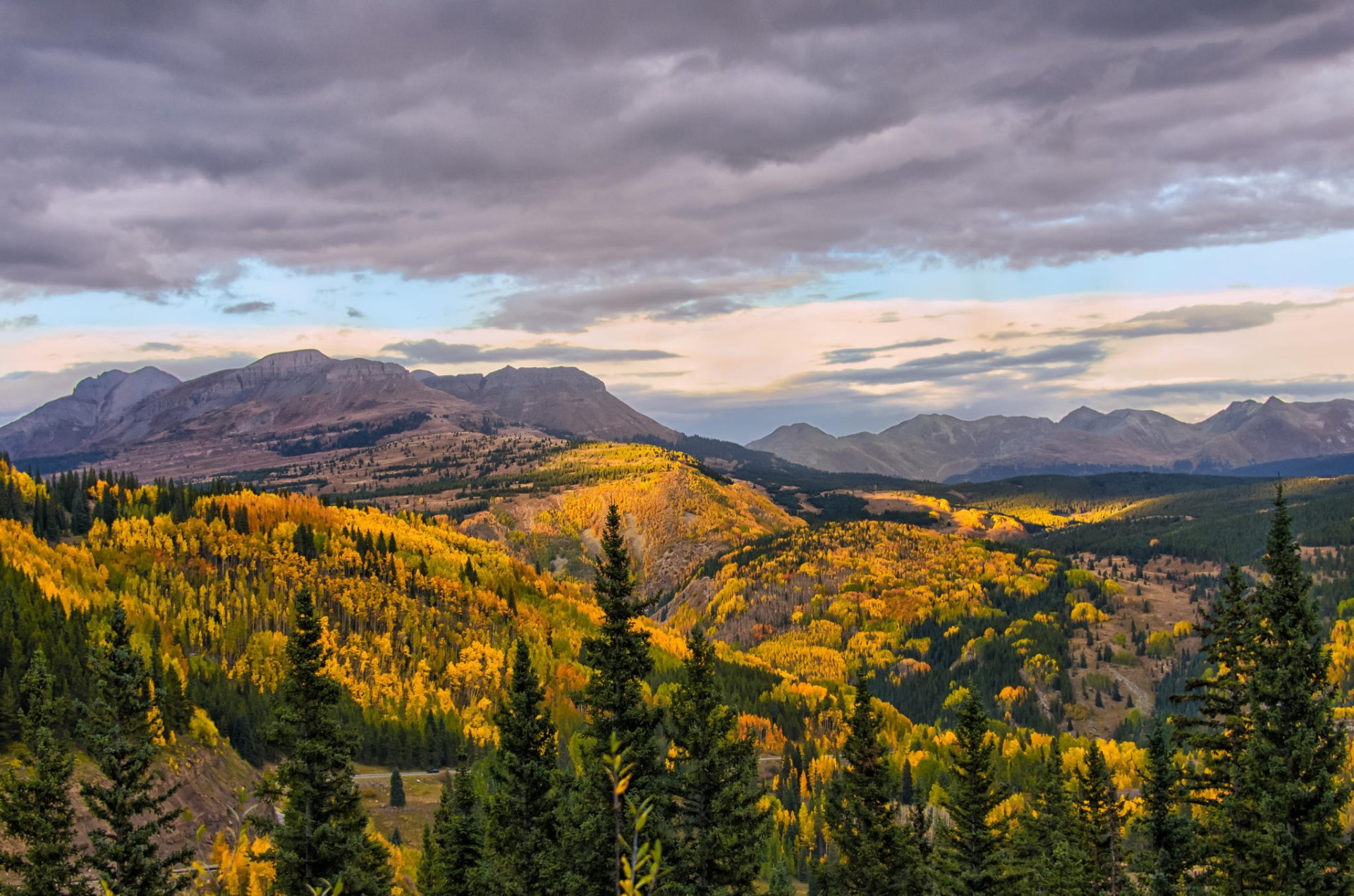 nature mountain forest tree autumn