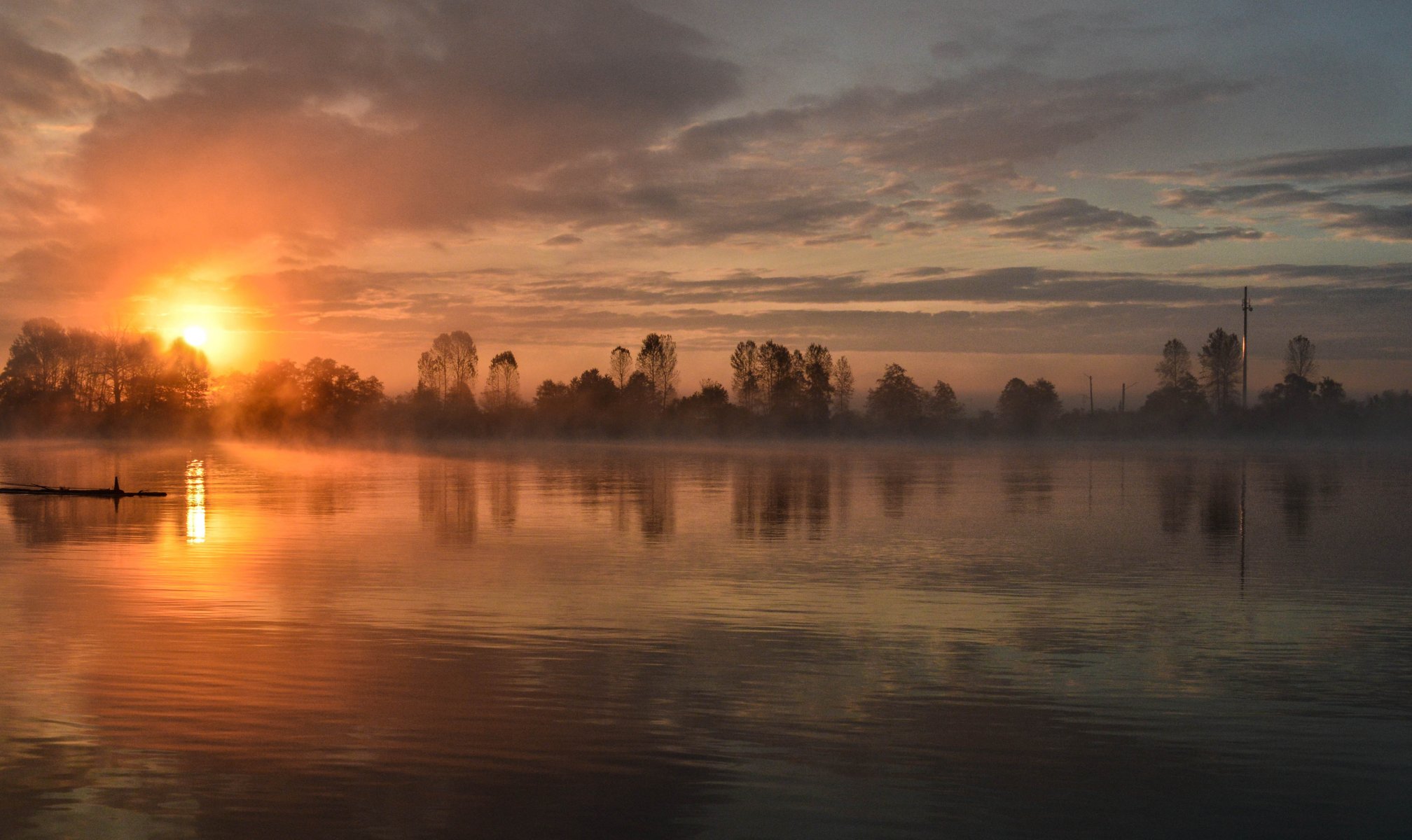 night lake tree sun