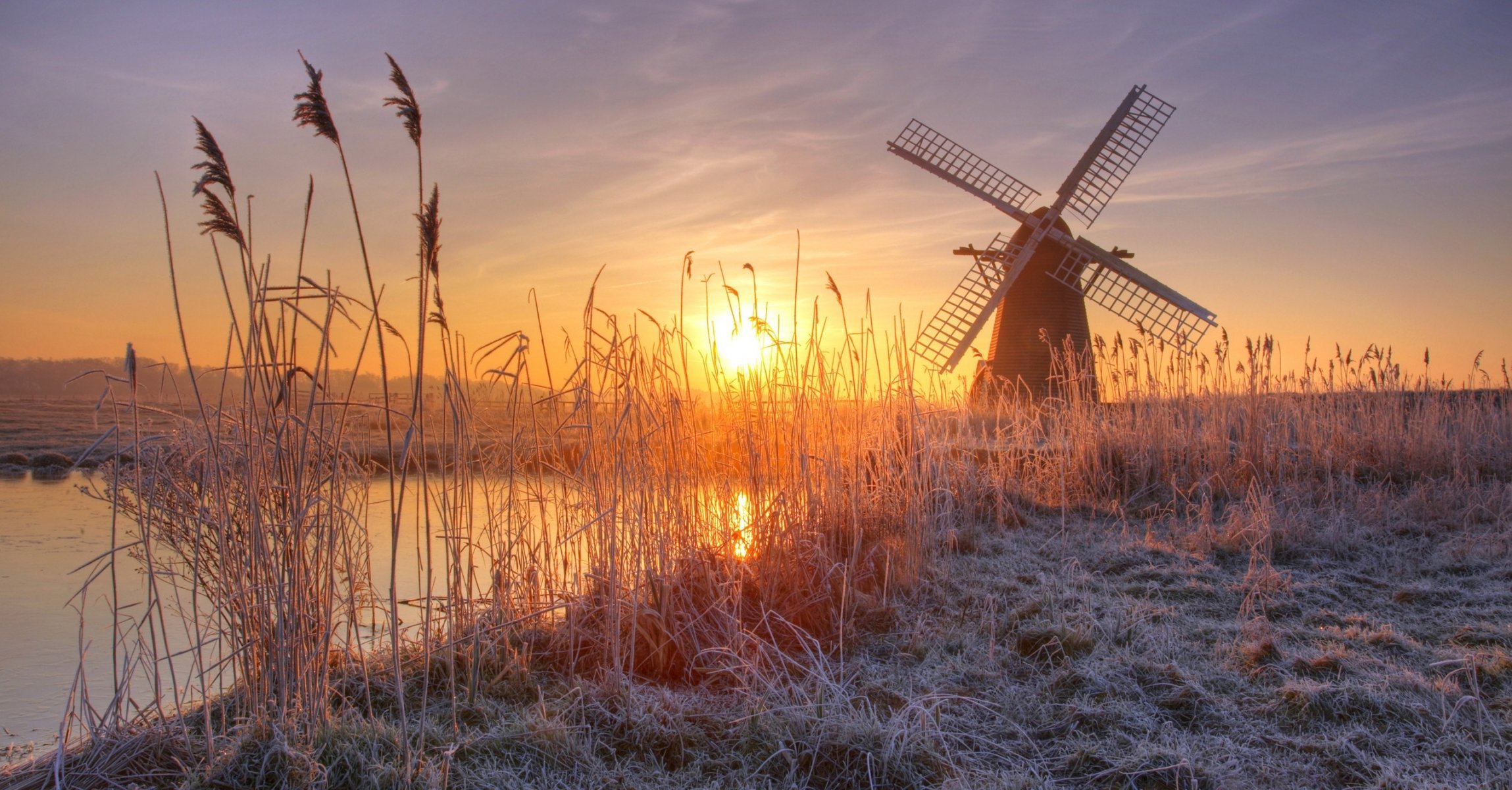 river reed frost mill sun