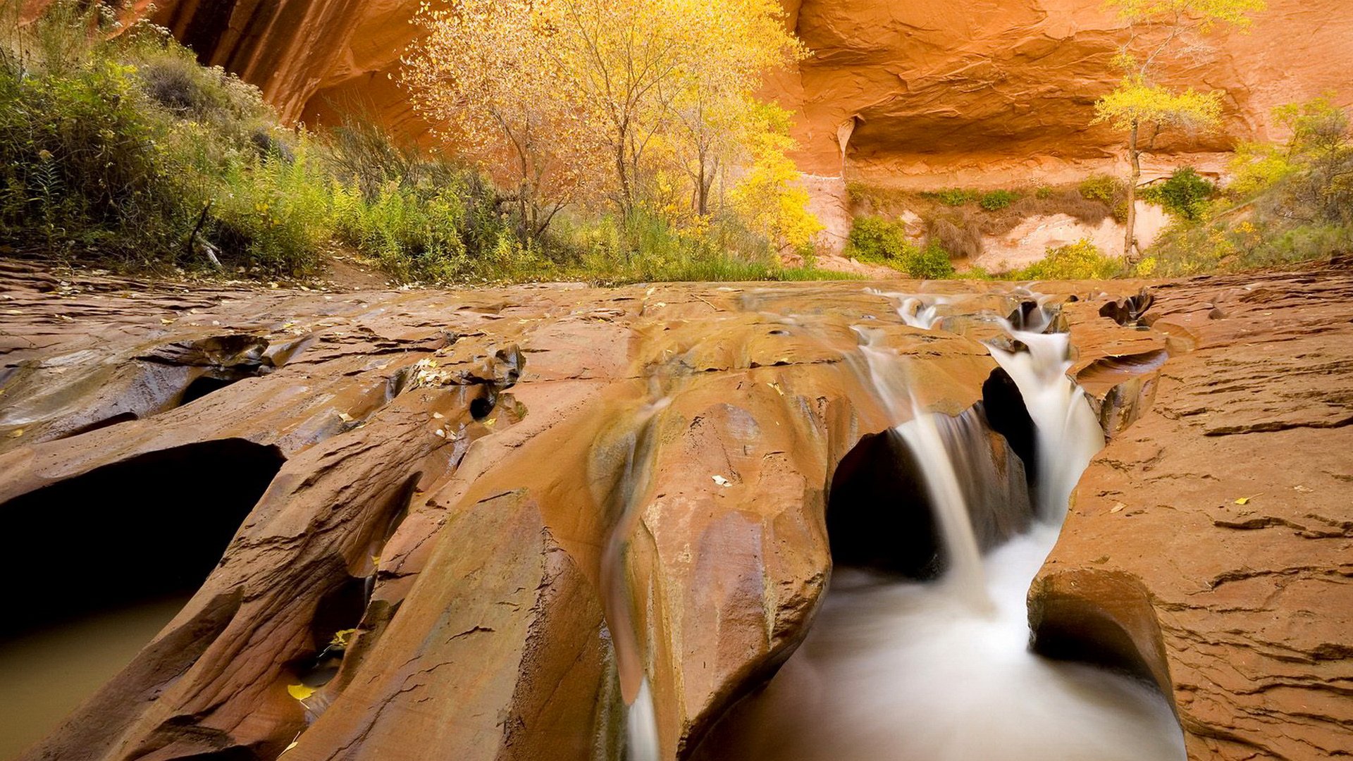 mountain rock feed river stones tree autumn