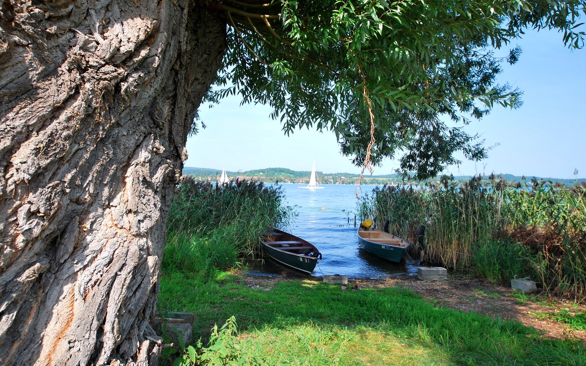 tree river boat works sail sky grass mountain lake