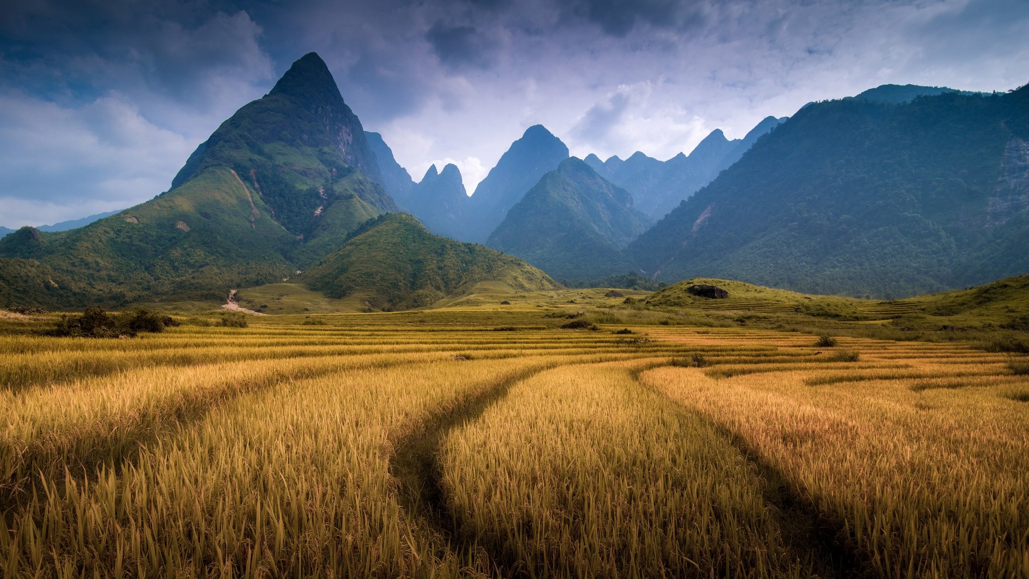 vietnam provincia di lao cai montagna fanshipan montagne campo