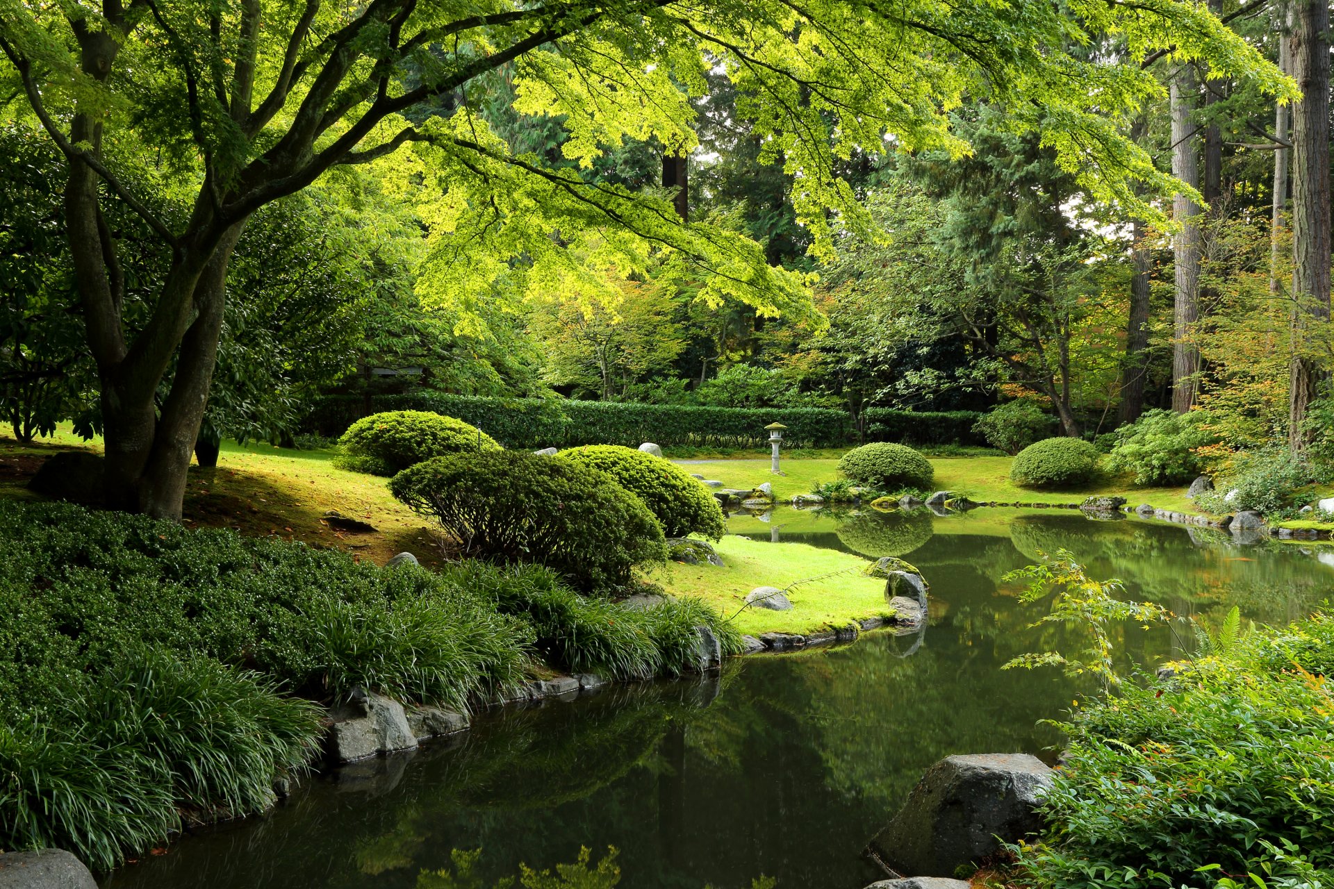 nitobe garten vancouver kanada park teich steine gras büsche bäume grüns laterne