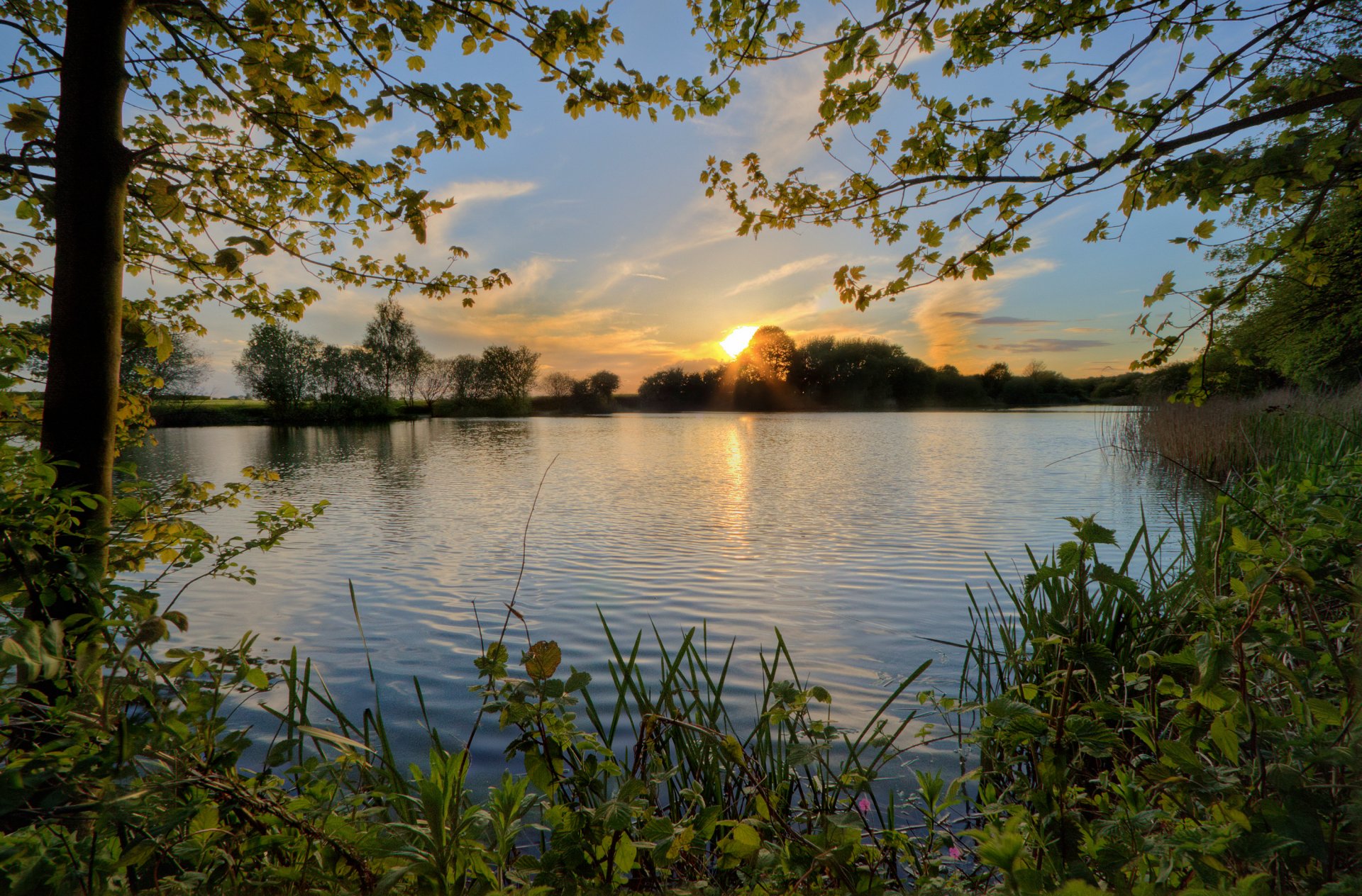 cielo tramonto stagno fiume alberi sera