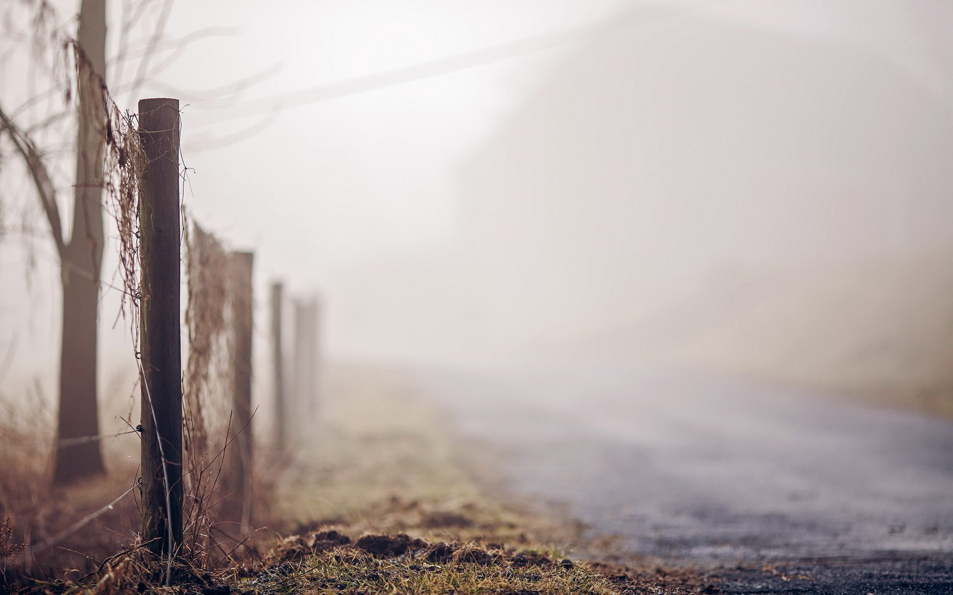 road fence fog