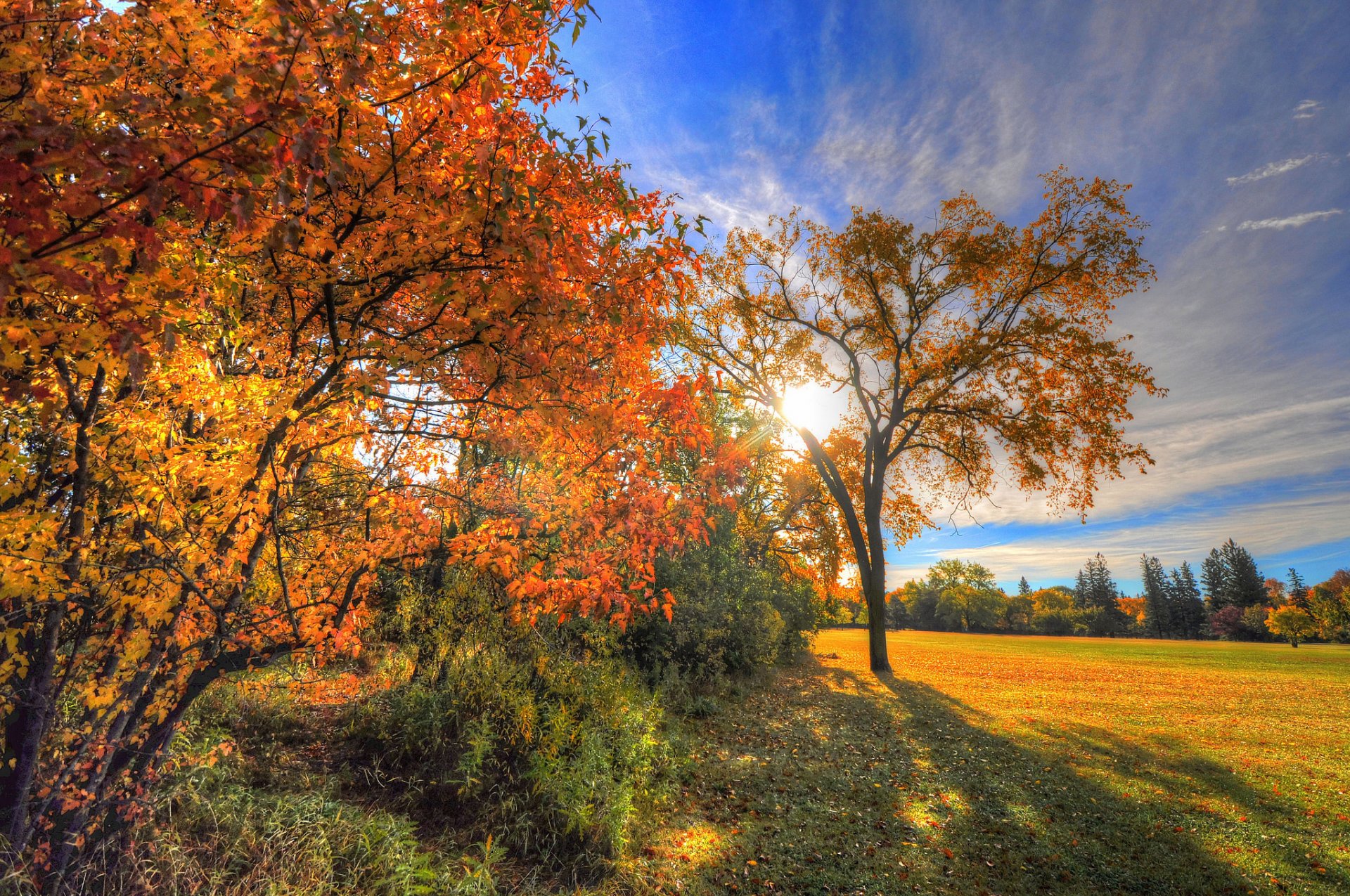 ciel nuages rayons arbres champ herbe feuilles automne