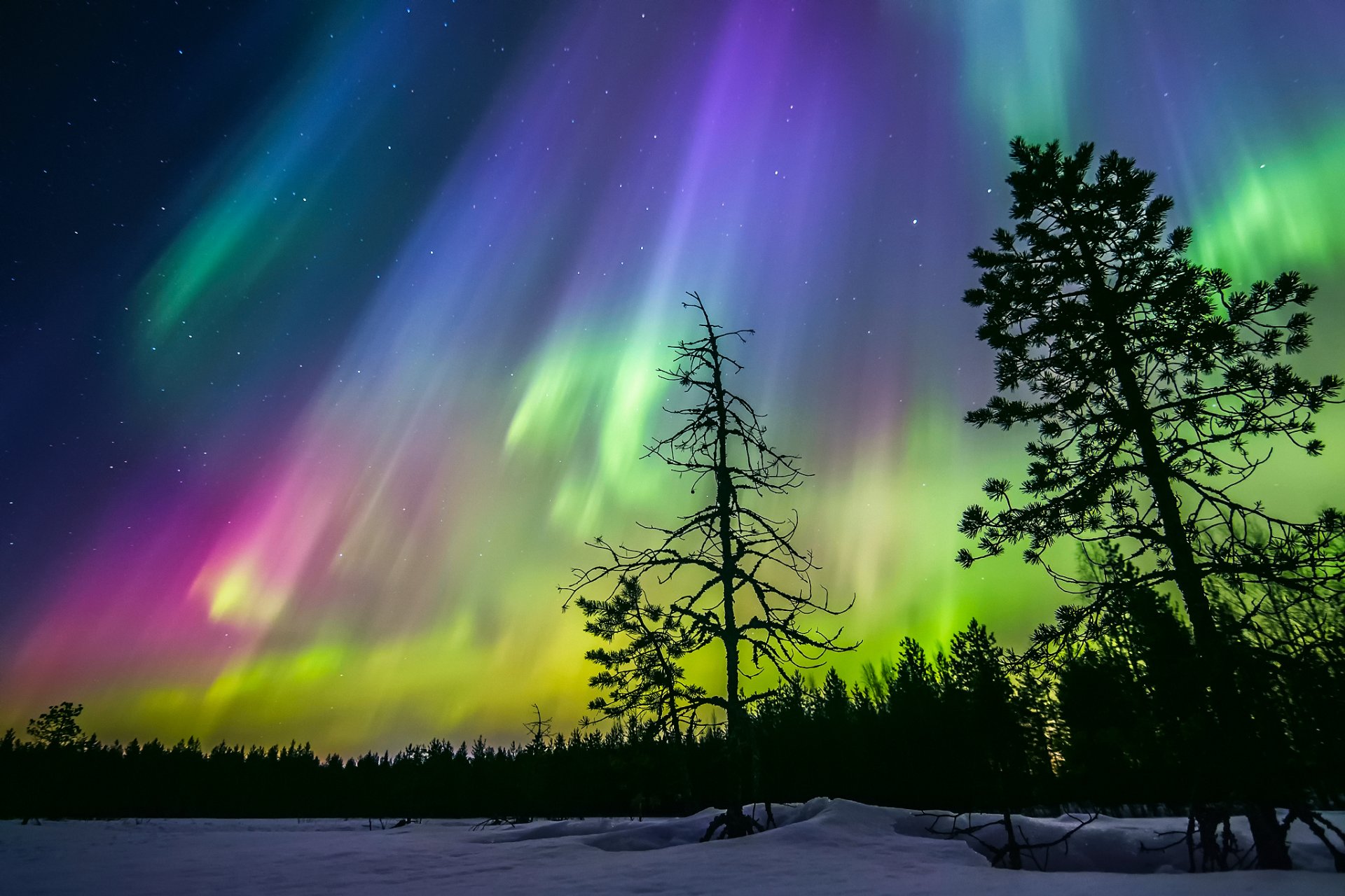 finlandia invierno noche cielo estrellas aurora boreal nieve bosque árboles siluetas