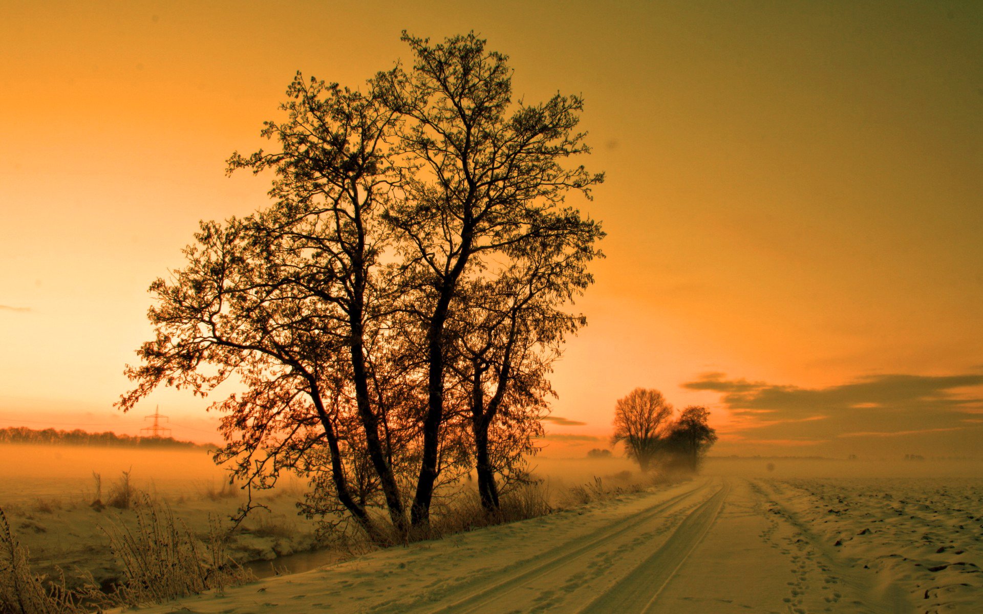 cielo tramonto strada alberi inverno neve nebbia foschia foschia