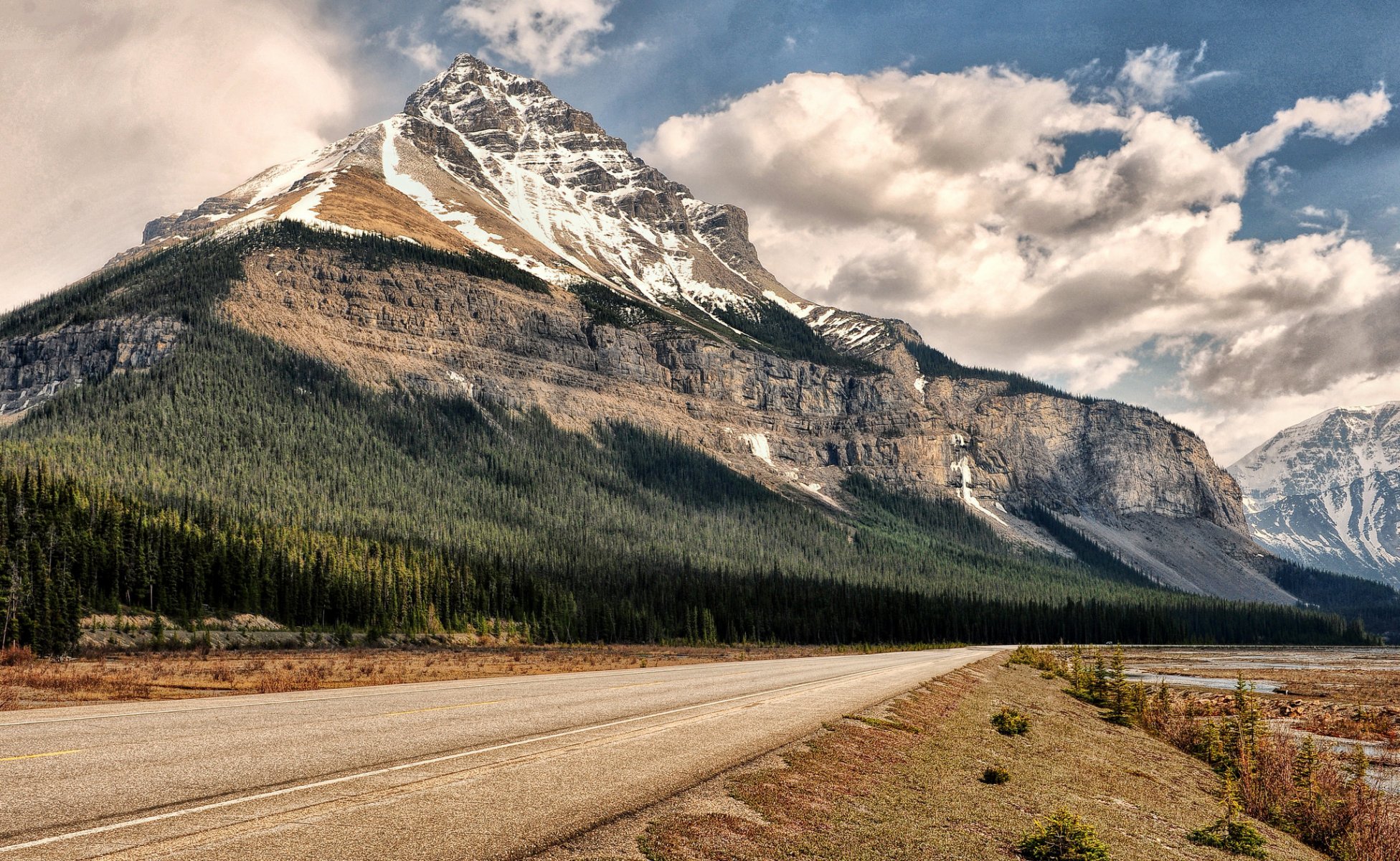 jeff r. clow park narodowy banff góra drzewa