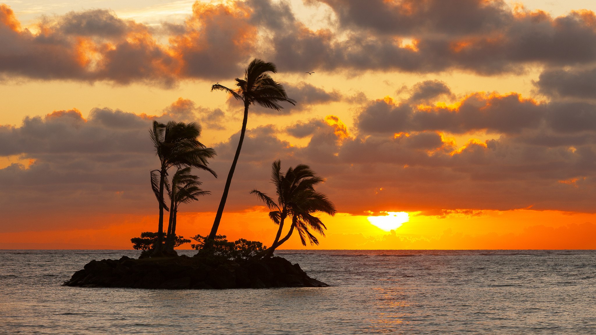 ciel nuages soleil coucher de soleil mer île palmiers