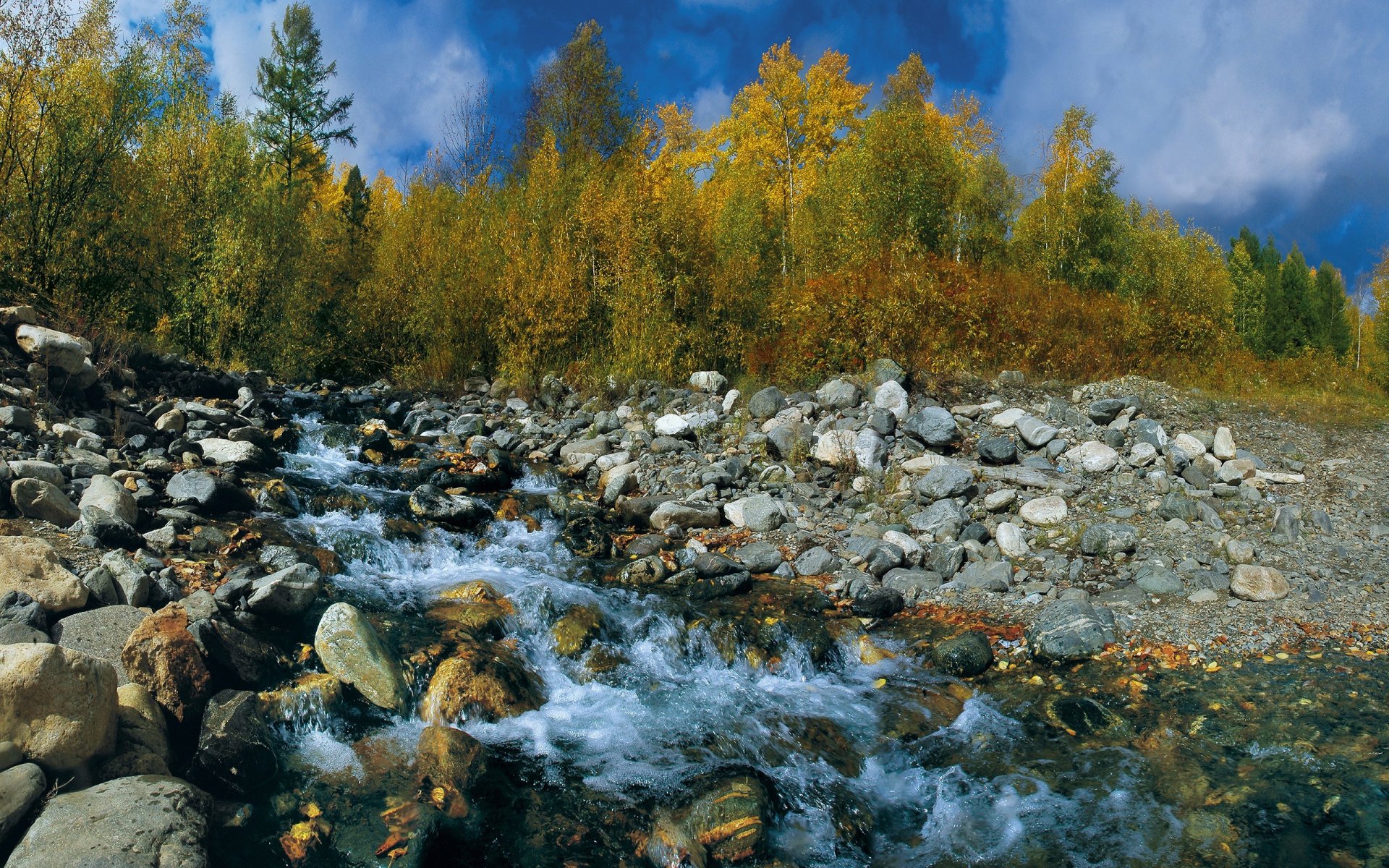 himmel herbst bäume blätter bach steine