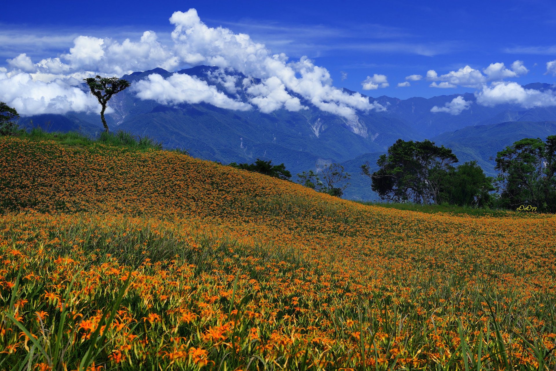 cielo nubes montañas árboles prado flores