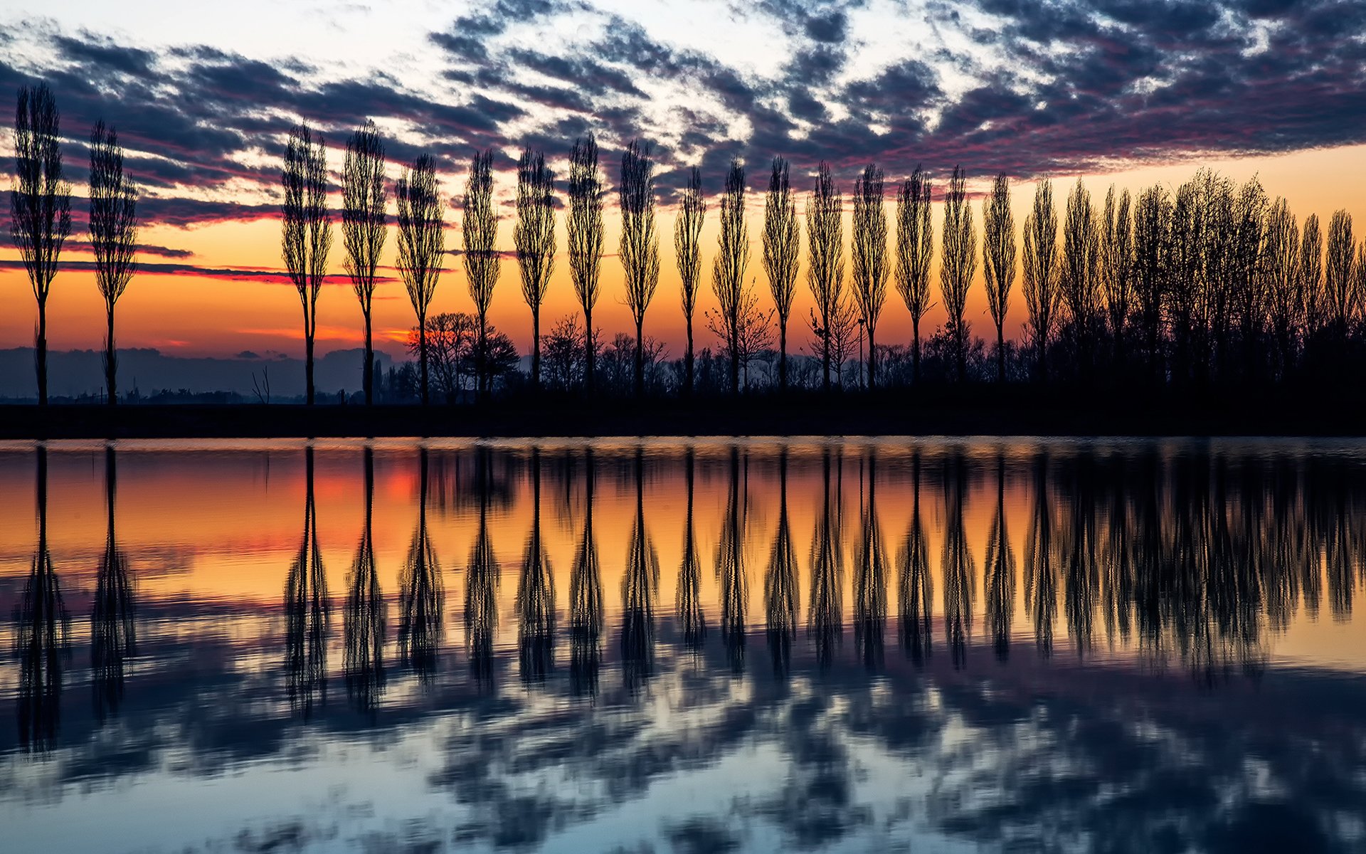 italia sera tramonto cielo alberi pioppi sagome acqua riflessi