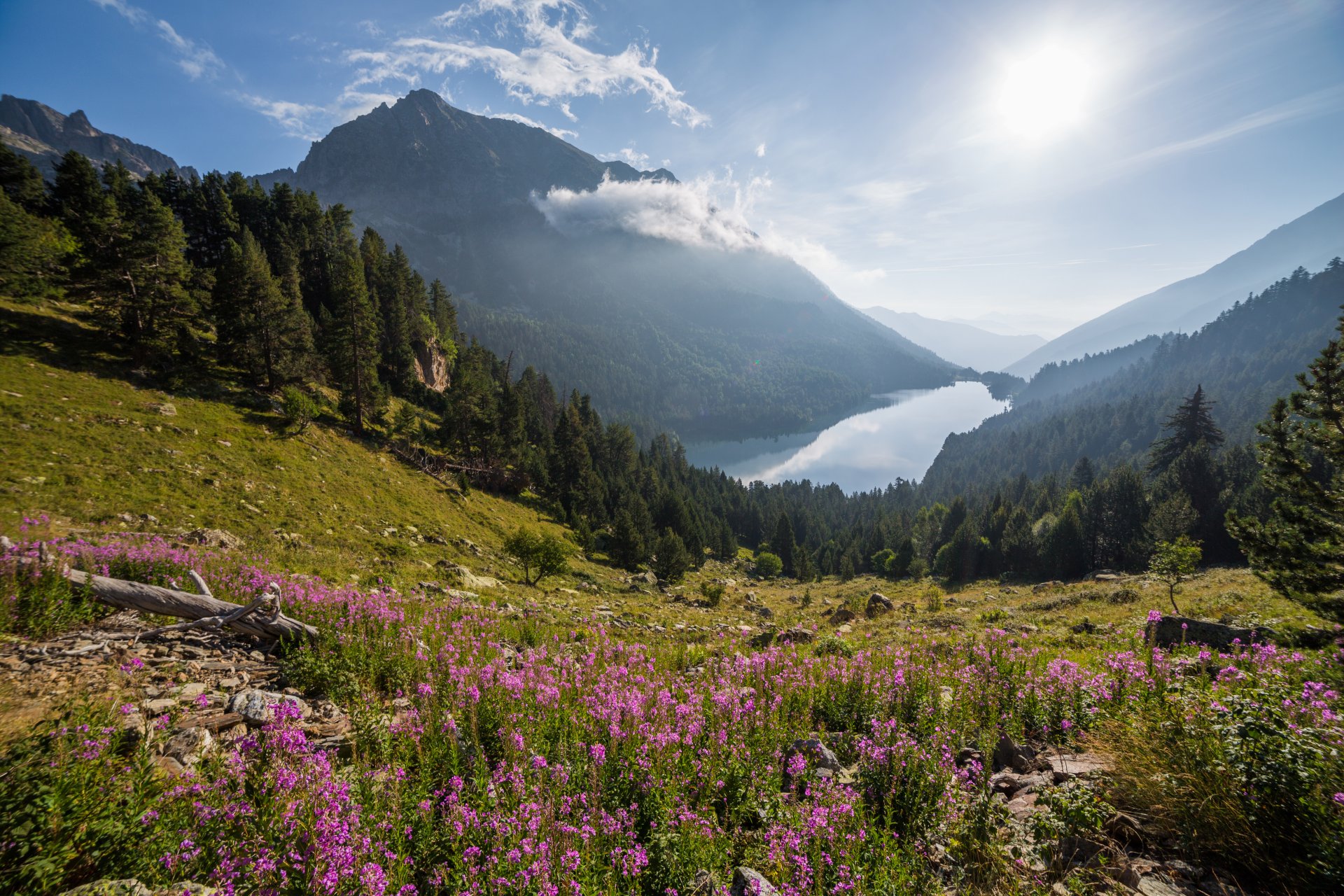 mountain lake forest nature aigüestortes de st.maurici national park spain