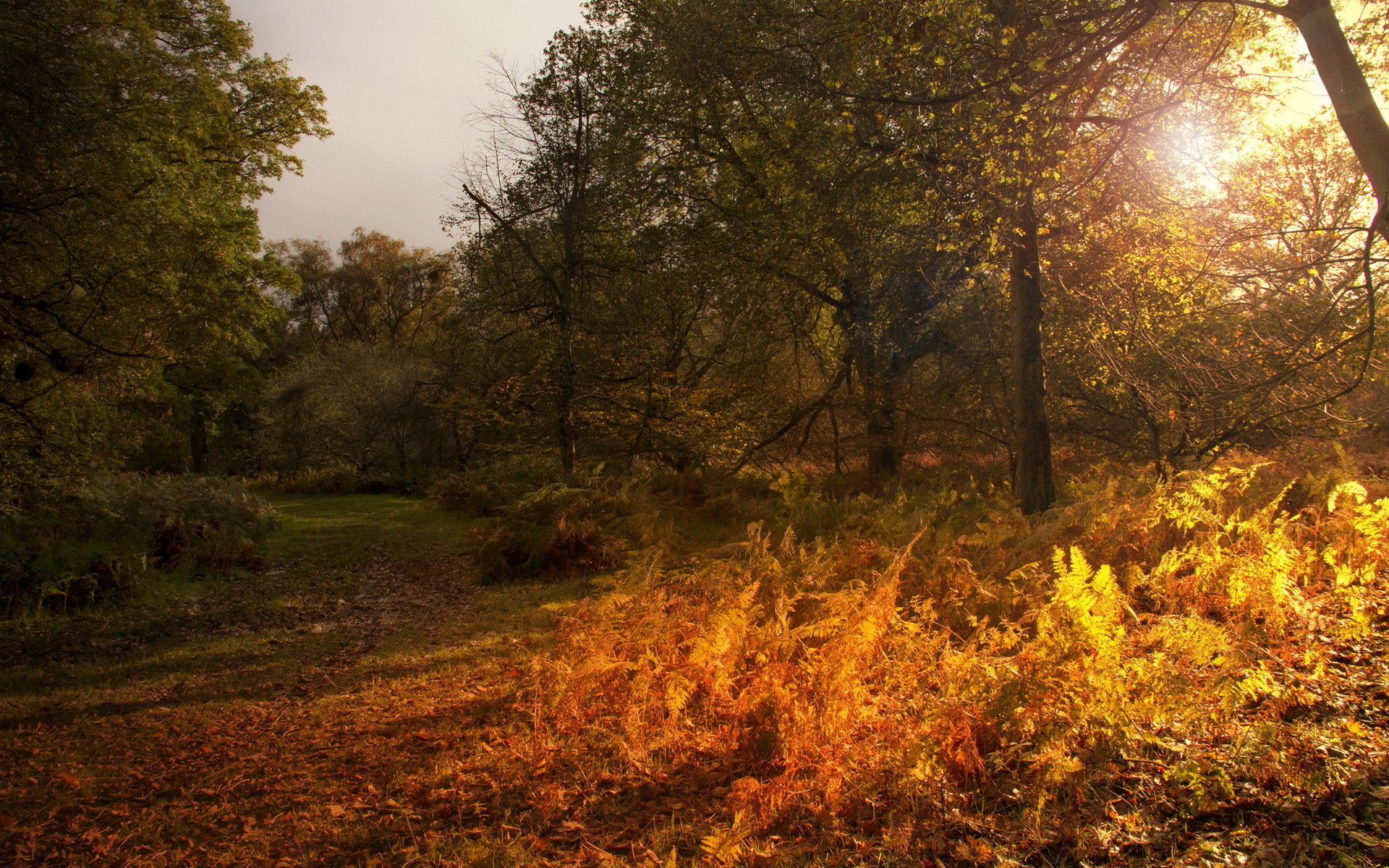 jesień krajobraz natura