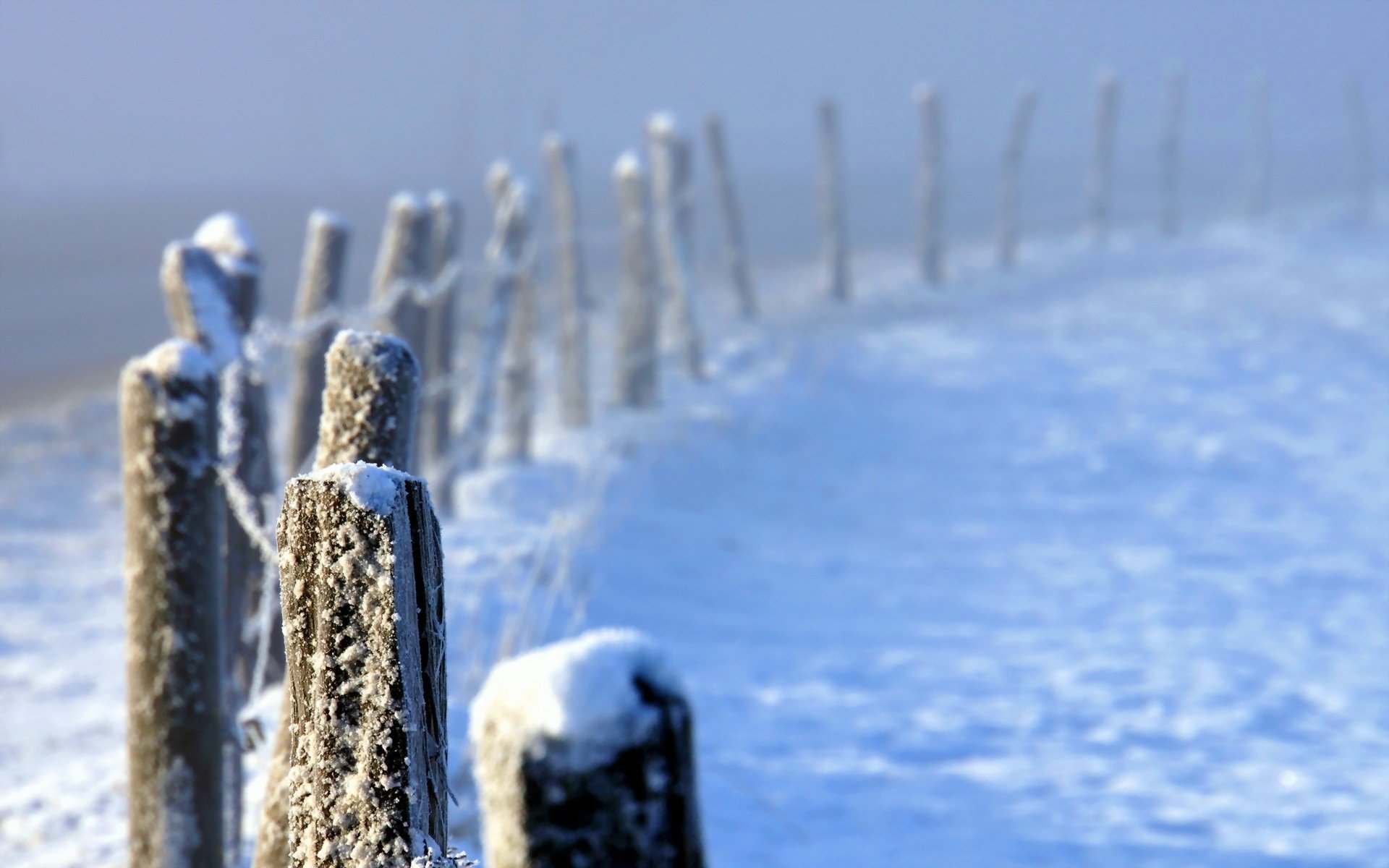 invierno cerca niebla