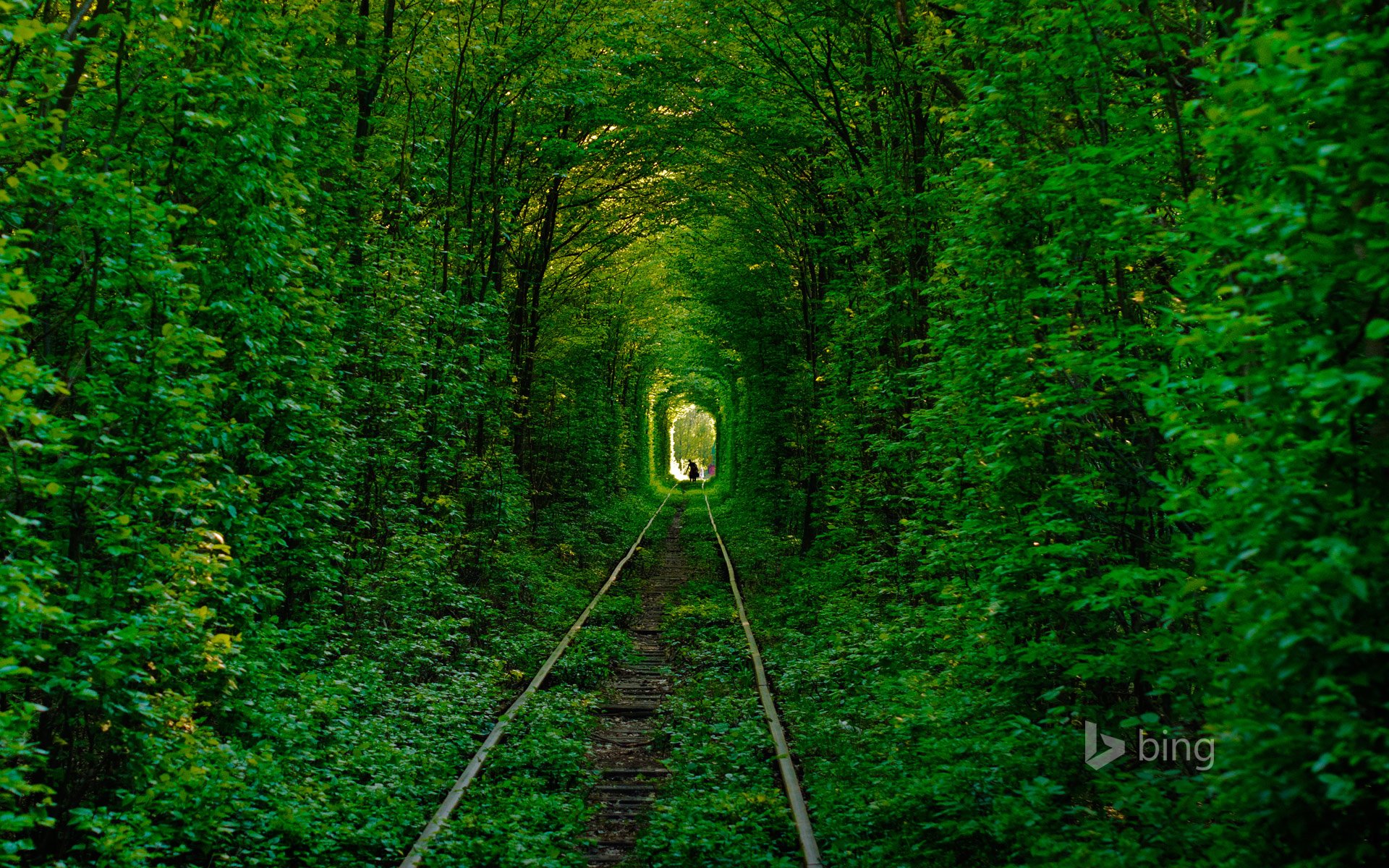 klevan ukraine tunnel de l amour forêt arbres route rails silhouette