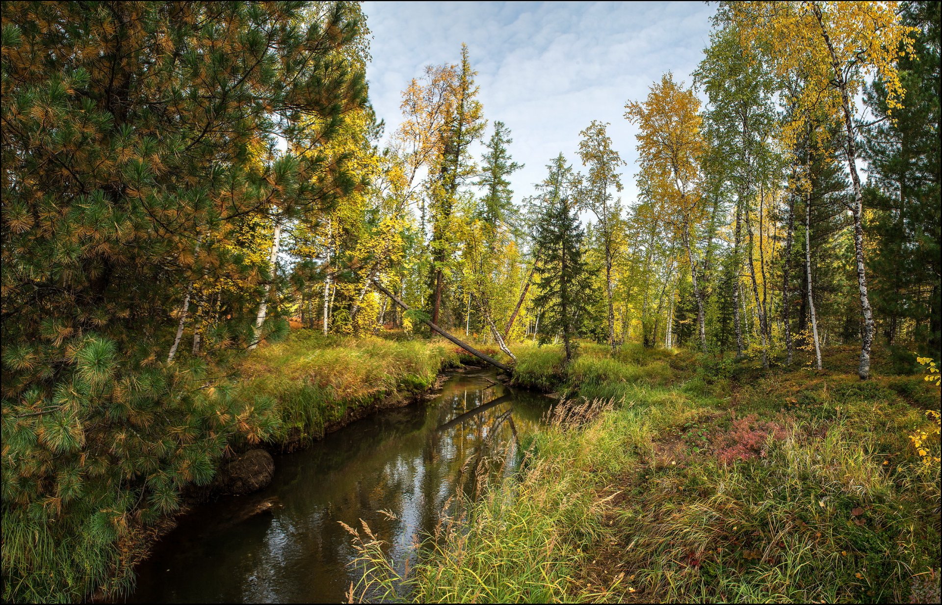 jesień krajobraz natura