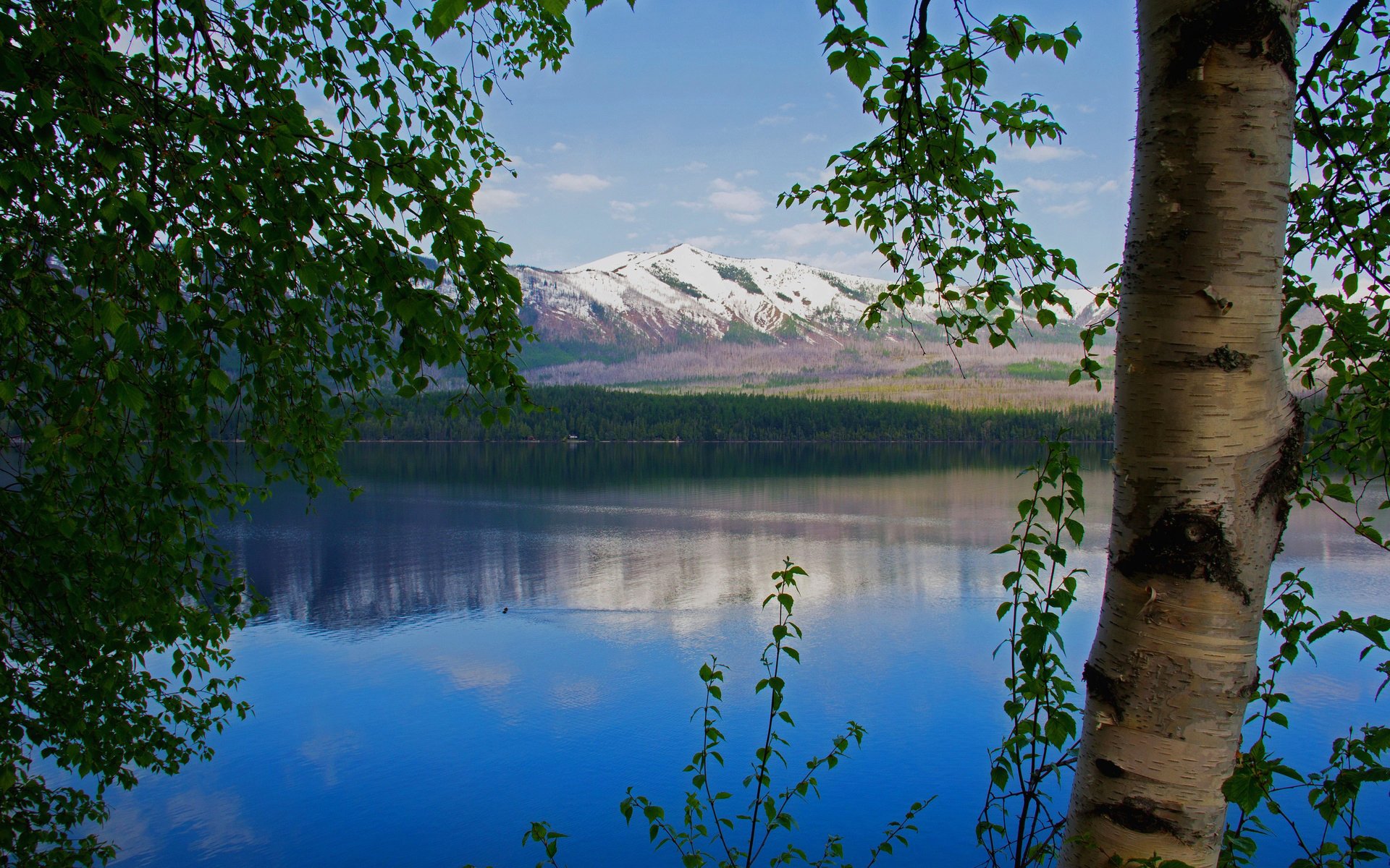 ciel montagnes lac arbres neige