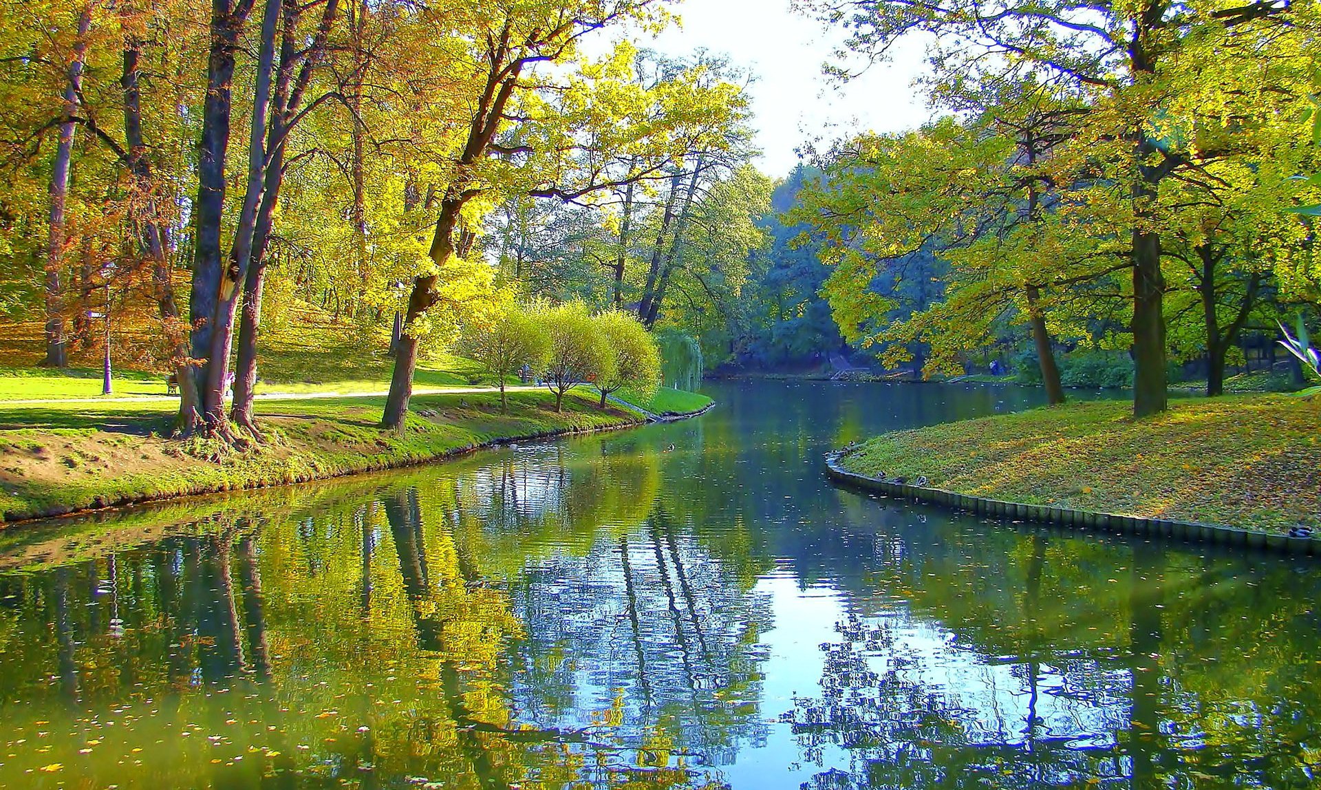 parco alberi stagno autunno