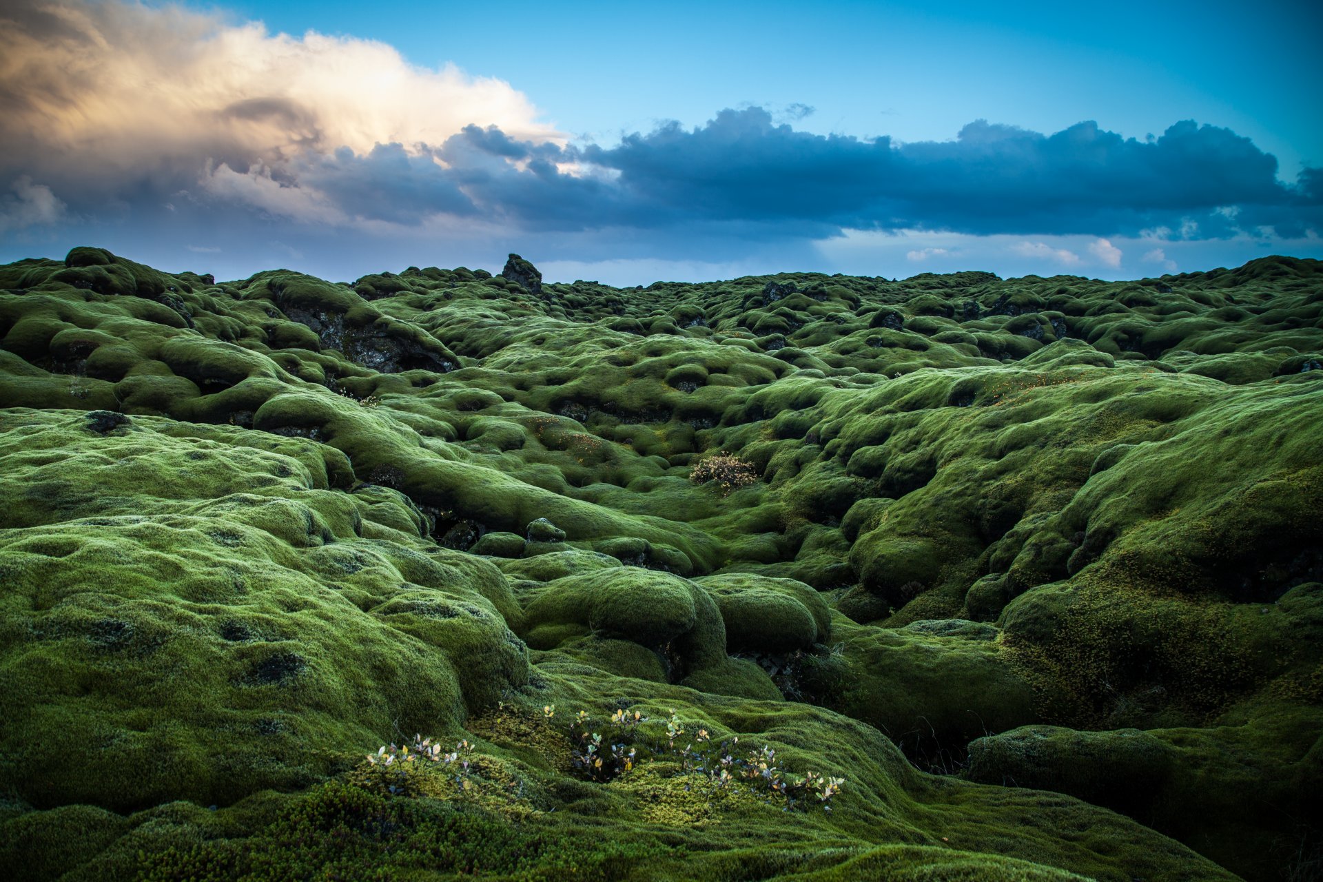 fotograf andrés nieto porras zdjęcia zielone wzgórza mech rozstanie irlandia