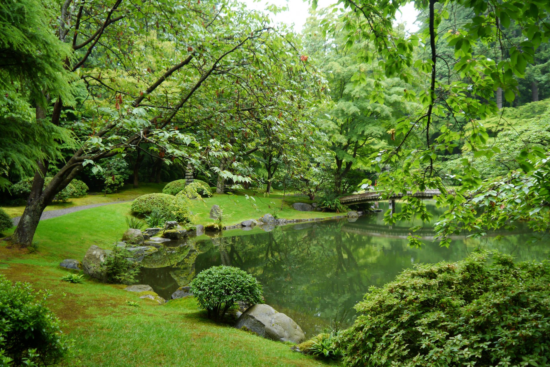 nitobe jardín vancouver canadá jardín estanque piedras hierba arbustos árboles ramas hojas vegetación puente camino