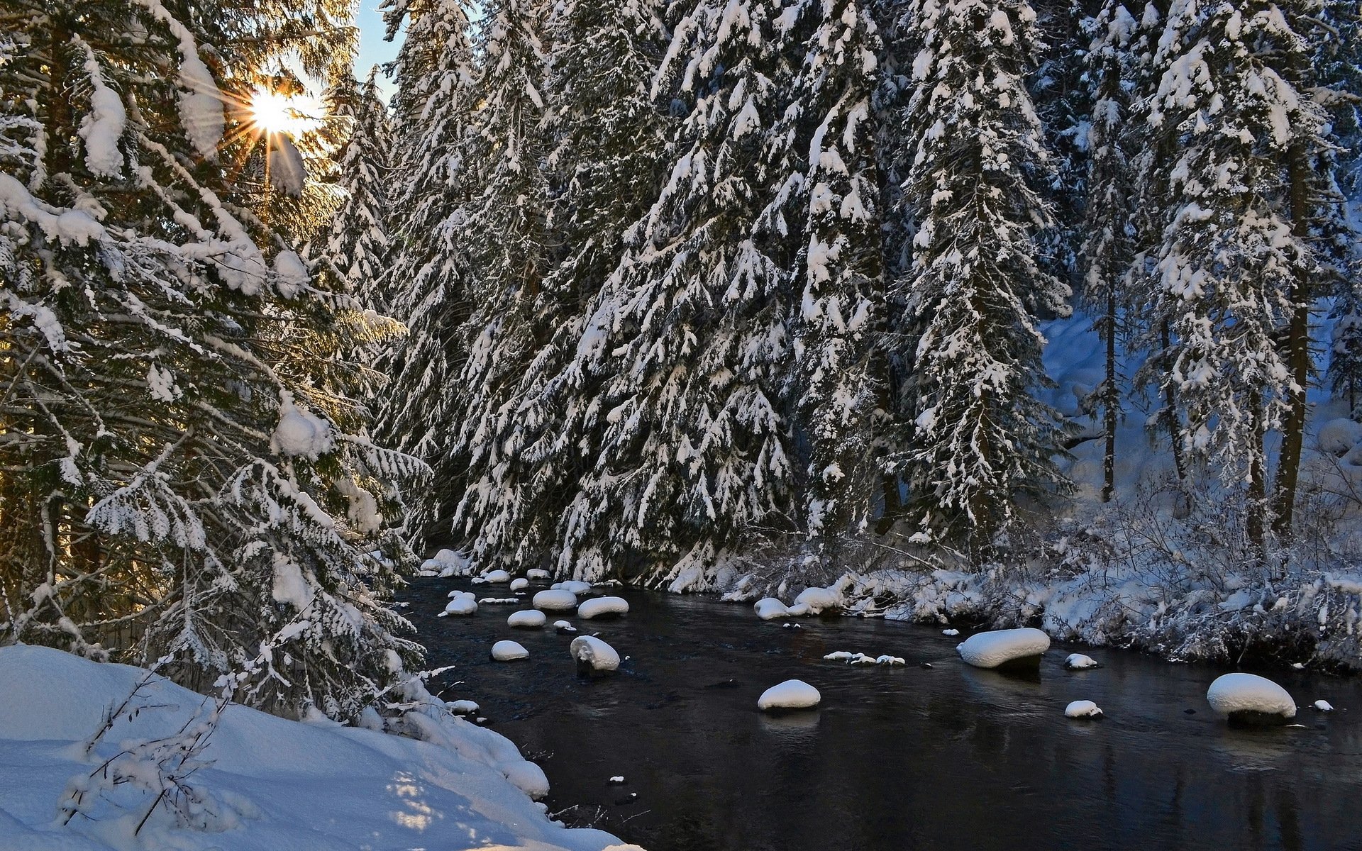 fluss bäume winter