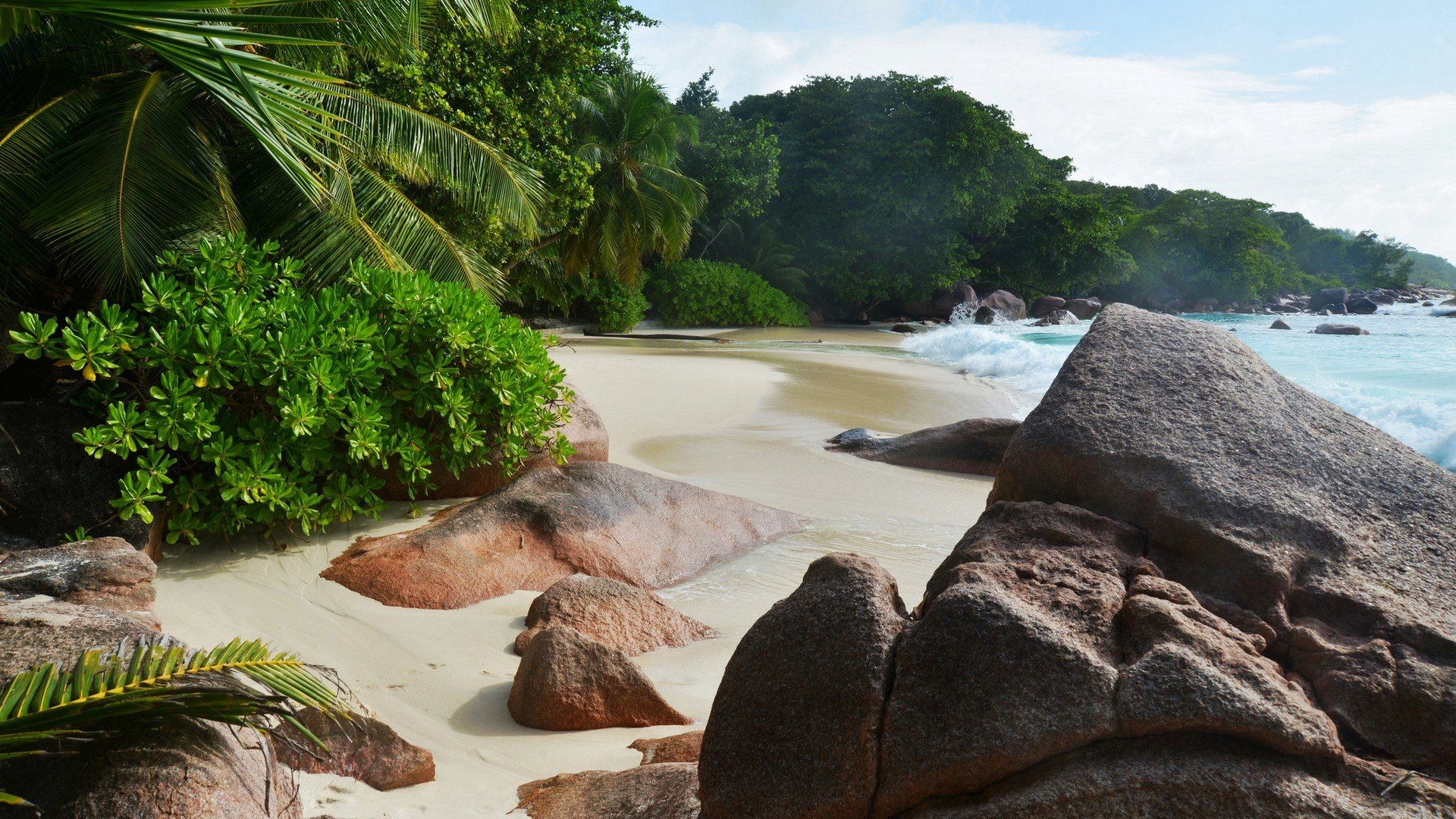 tropics sea beach waves stones palmy.kusty rocks palmist