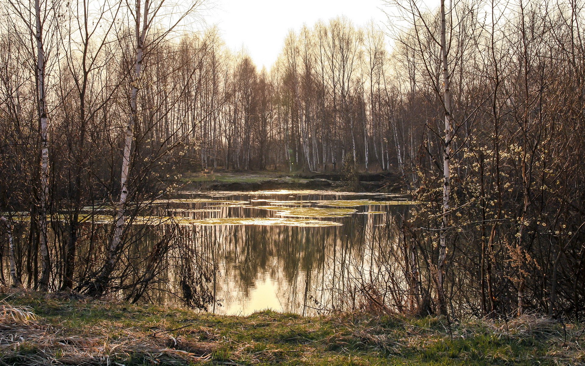 primavera lago naturaleza