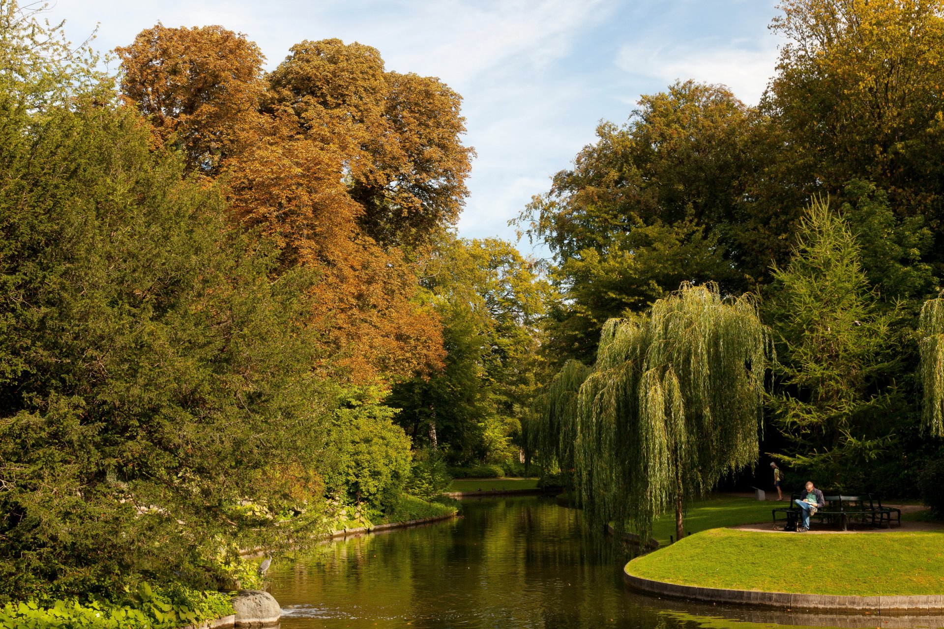 jardín dinamarca estanque botánico copenhague naturaleza foto