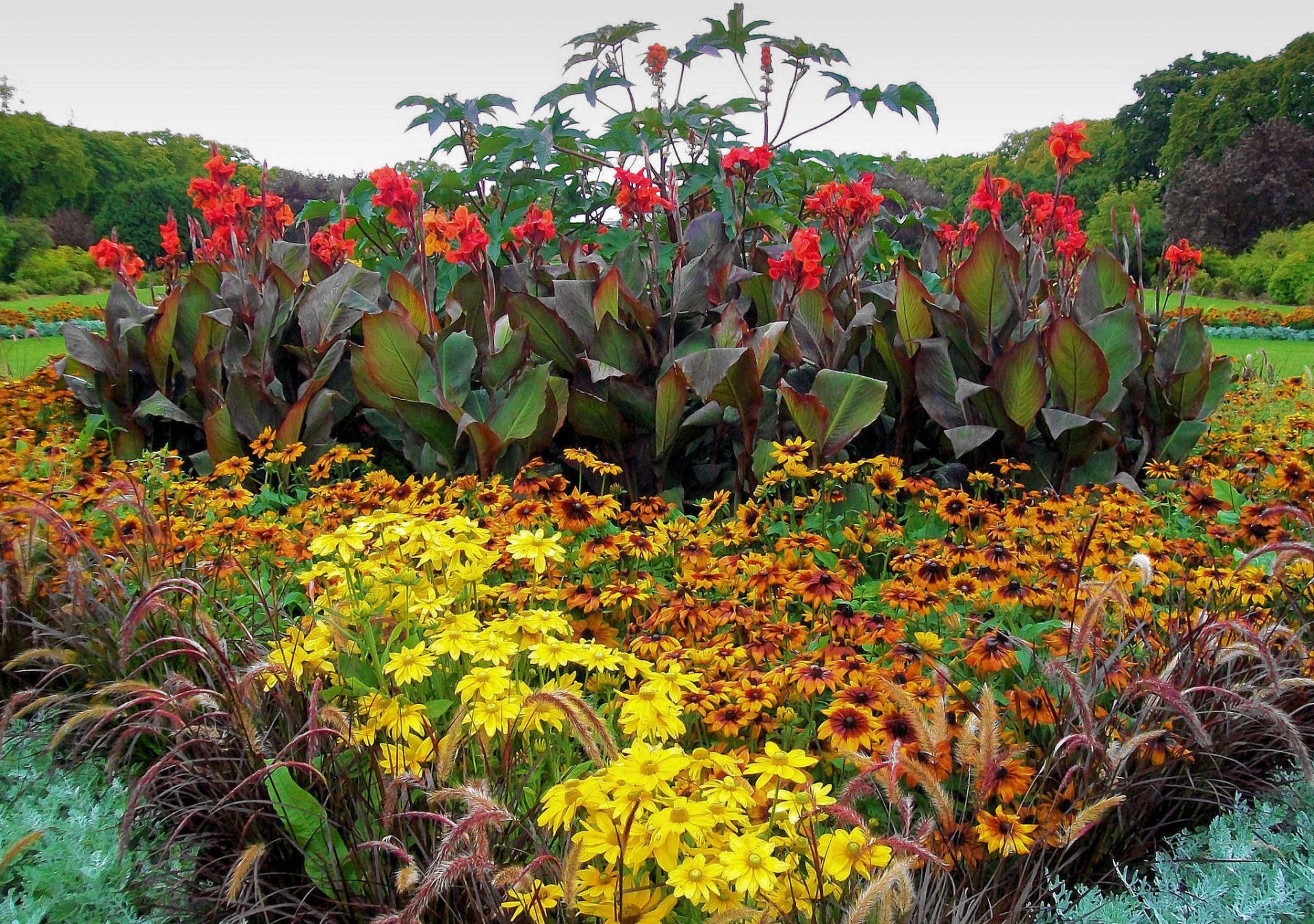 parque jardín parterre flores