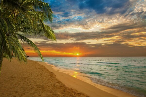 Puesta de sol en la playa del mar en un paraíso tropical