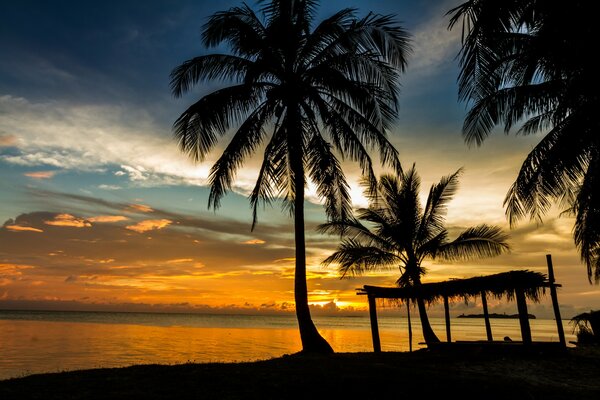 Küste, Meer und Palme im Hintergrund des Sonnenuntergangs