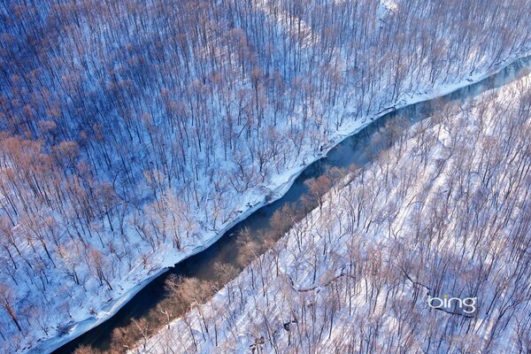 Ein schmaler Fluss in den Winterwäldern von Virginia