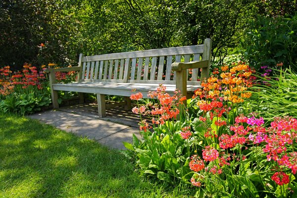 Aquarelle, jardin d été et banc