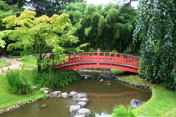 Jardín con estanque de estilo Japonés con piedras y caminos