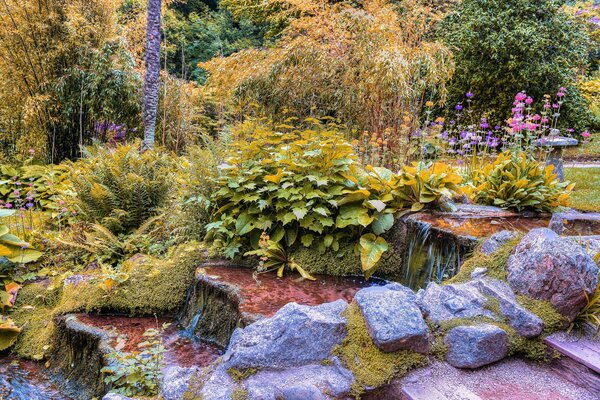 Deciduous park with a rocky rise