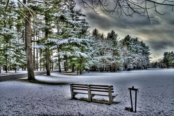 Un Square d hiver avec un banc couvert de neige