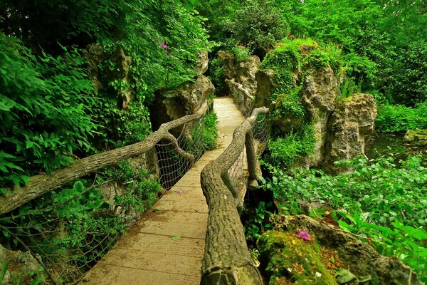 Brücke zwischen Büschen und Bäumen im japanischen Garten in Paris