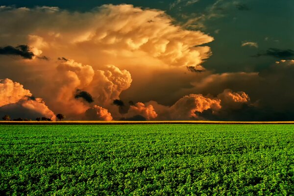Das Bild des Feldes und die Wolke am Horizont